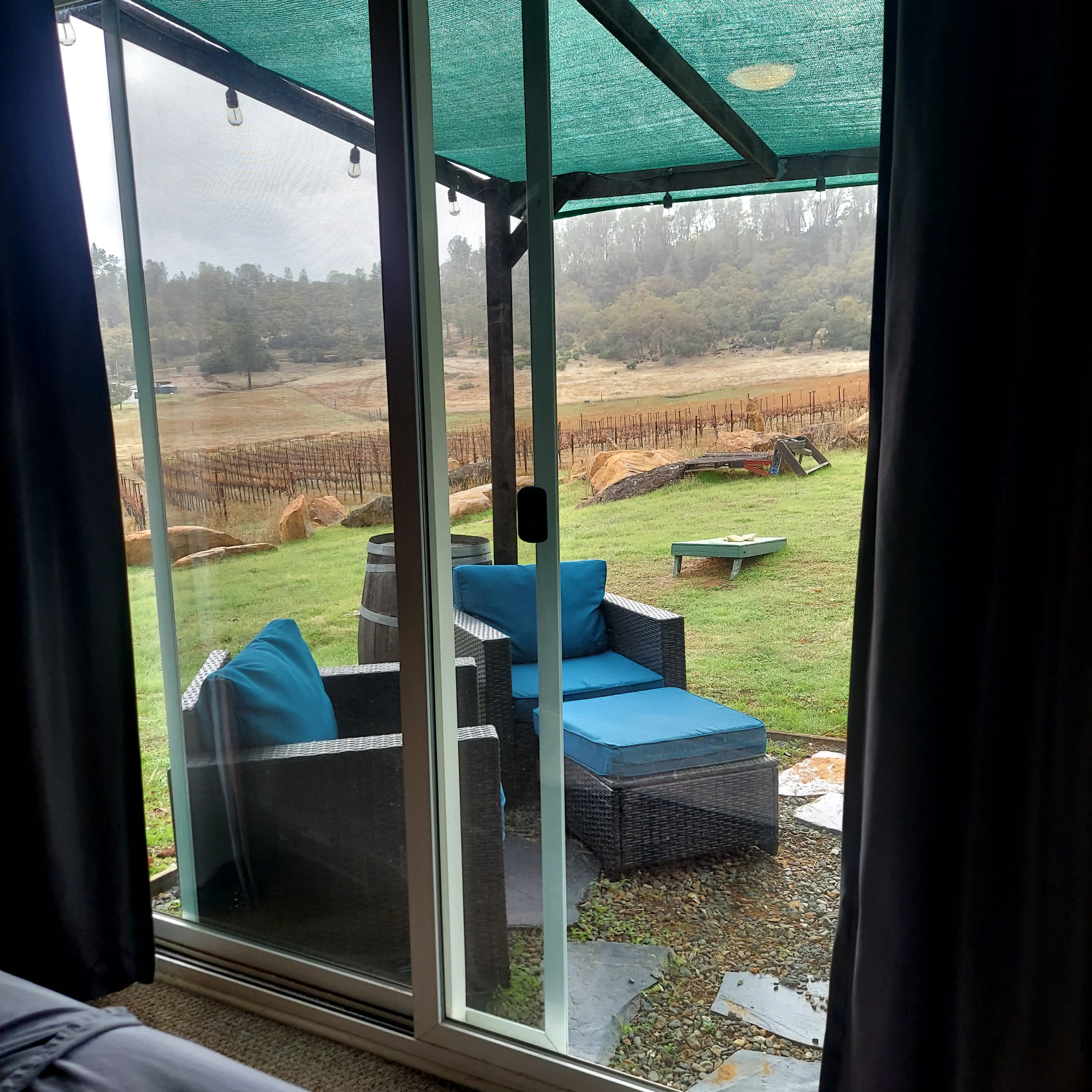 Vineyard Camping at Bad Rat Ranch