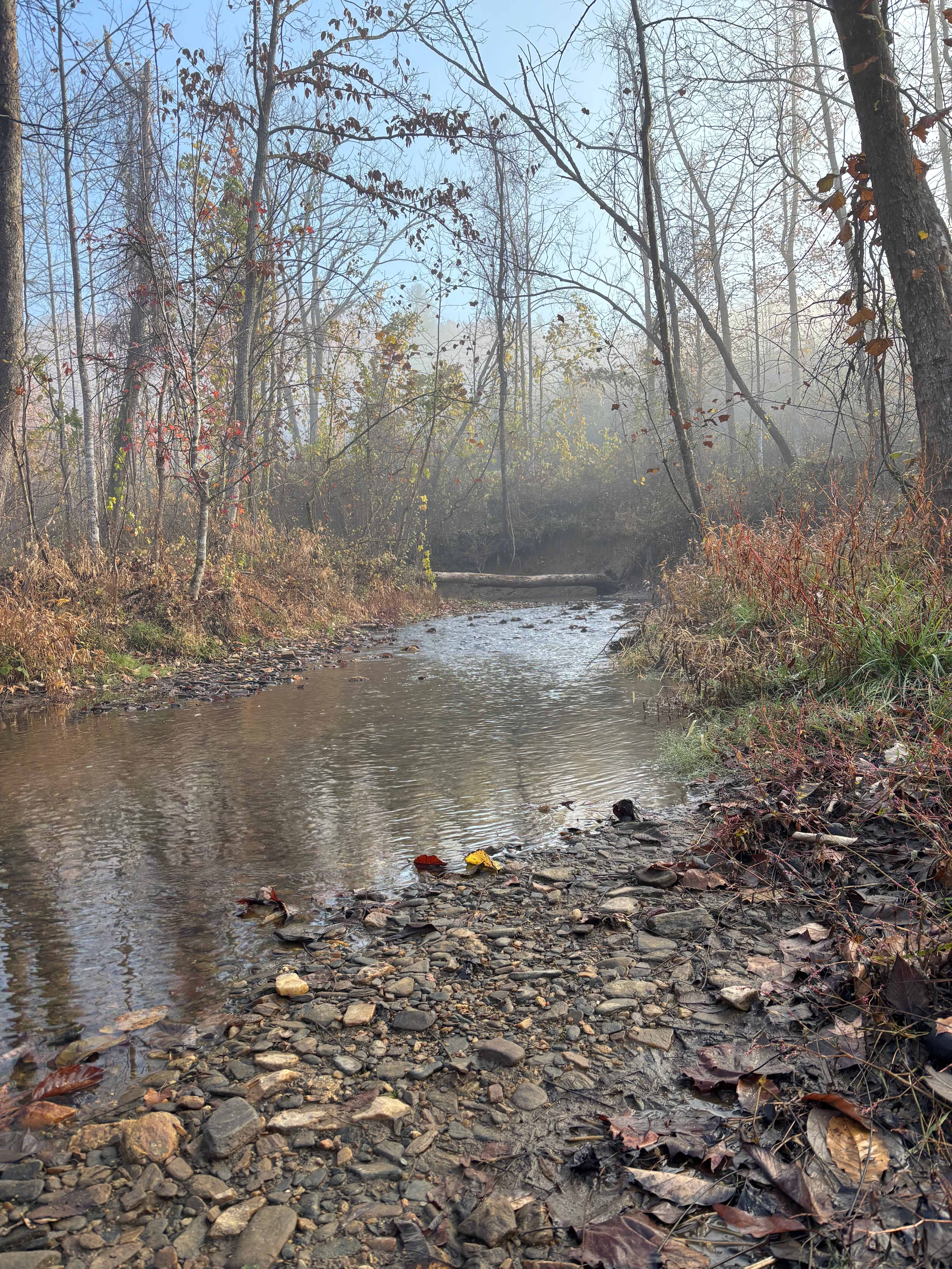 TangleWood Creekside Campsites