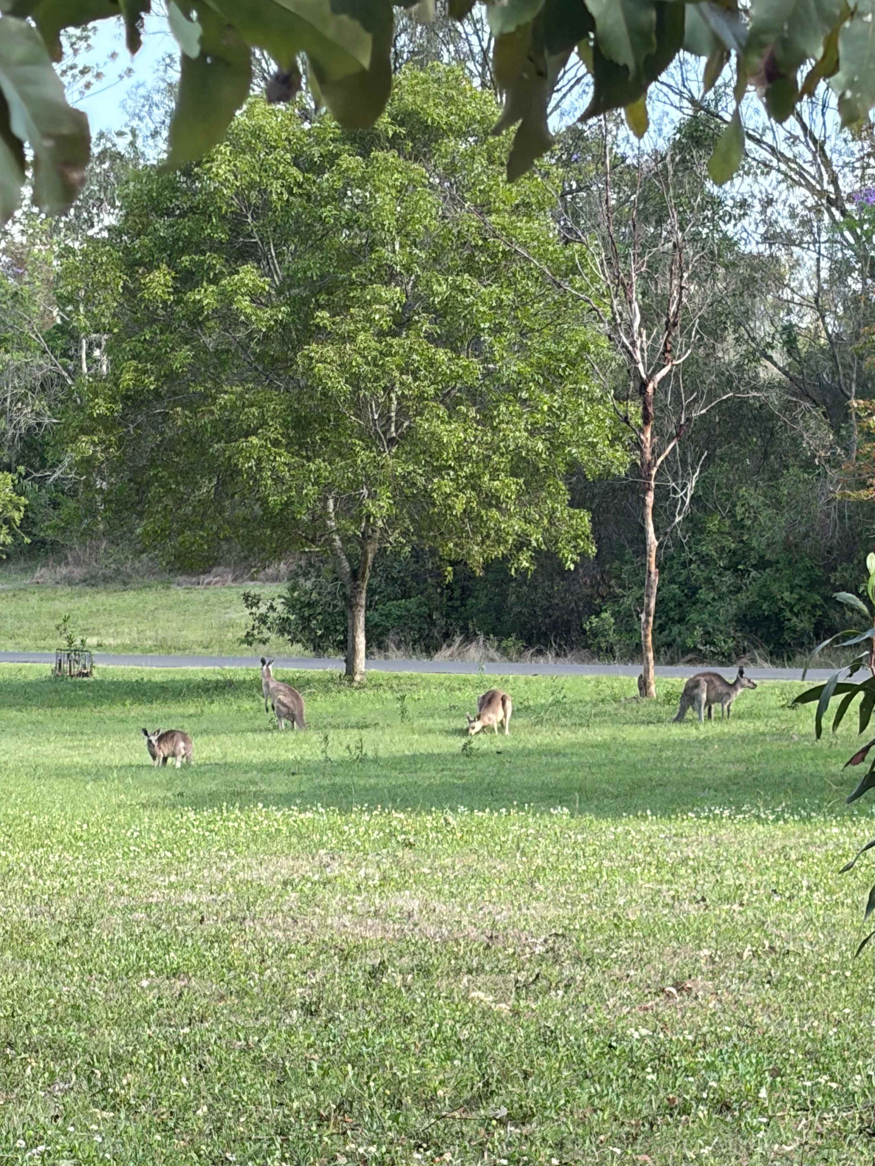 13 Kookaburra Park Eco Village