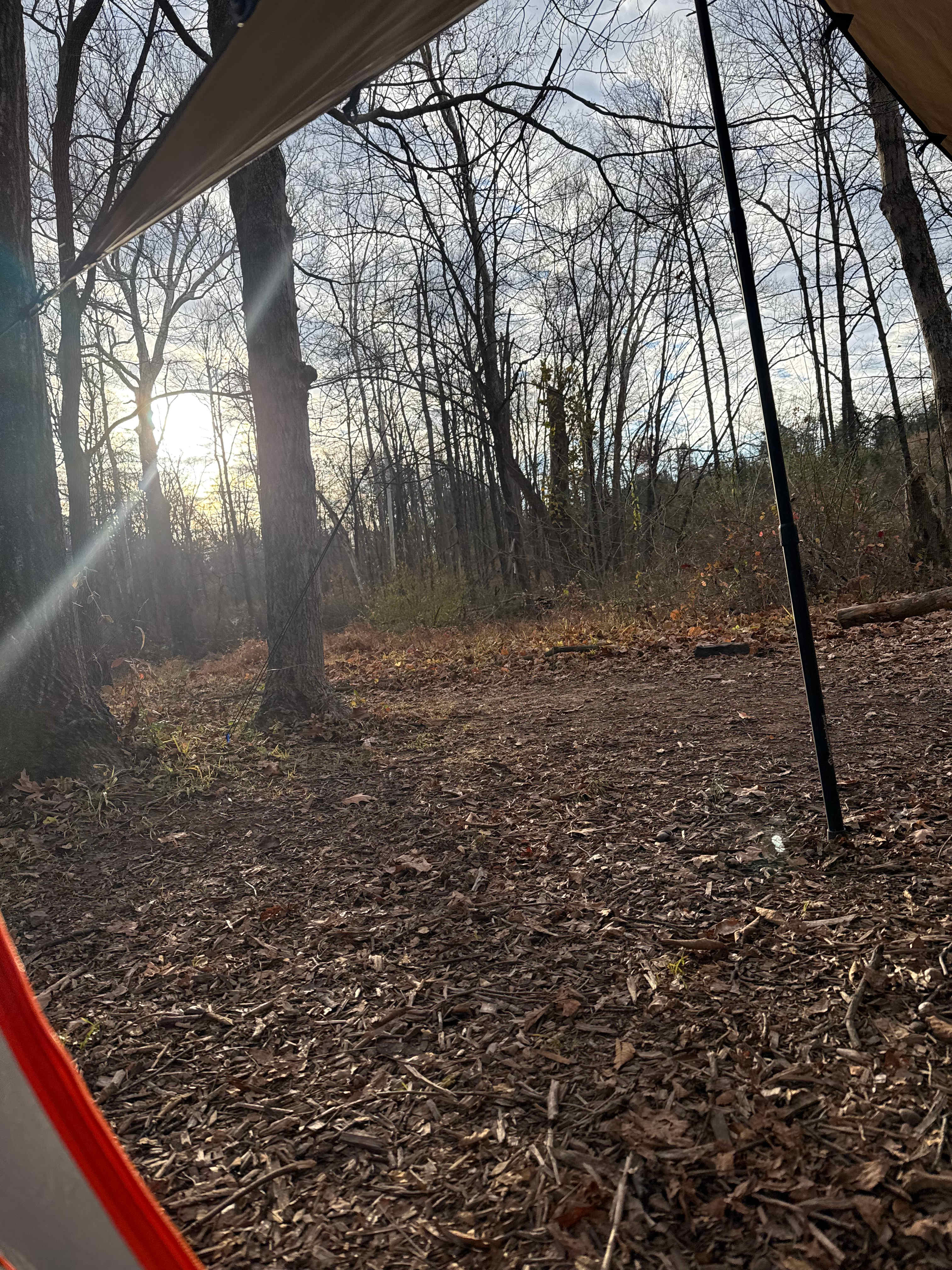 Grampy's Red Rock Rabbit Ranch