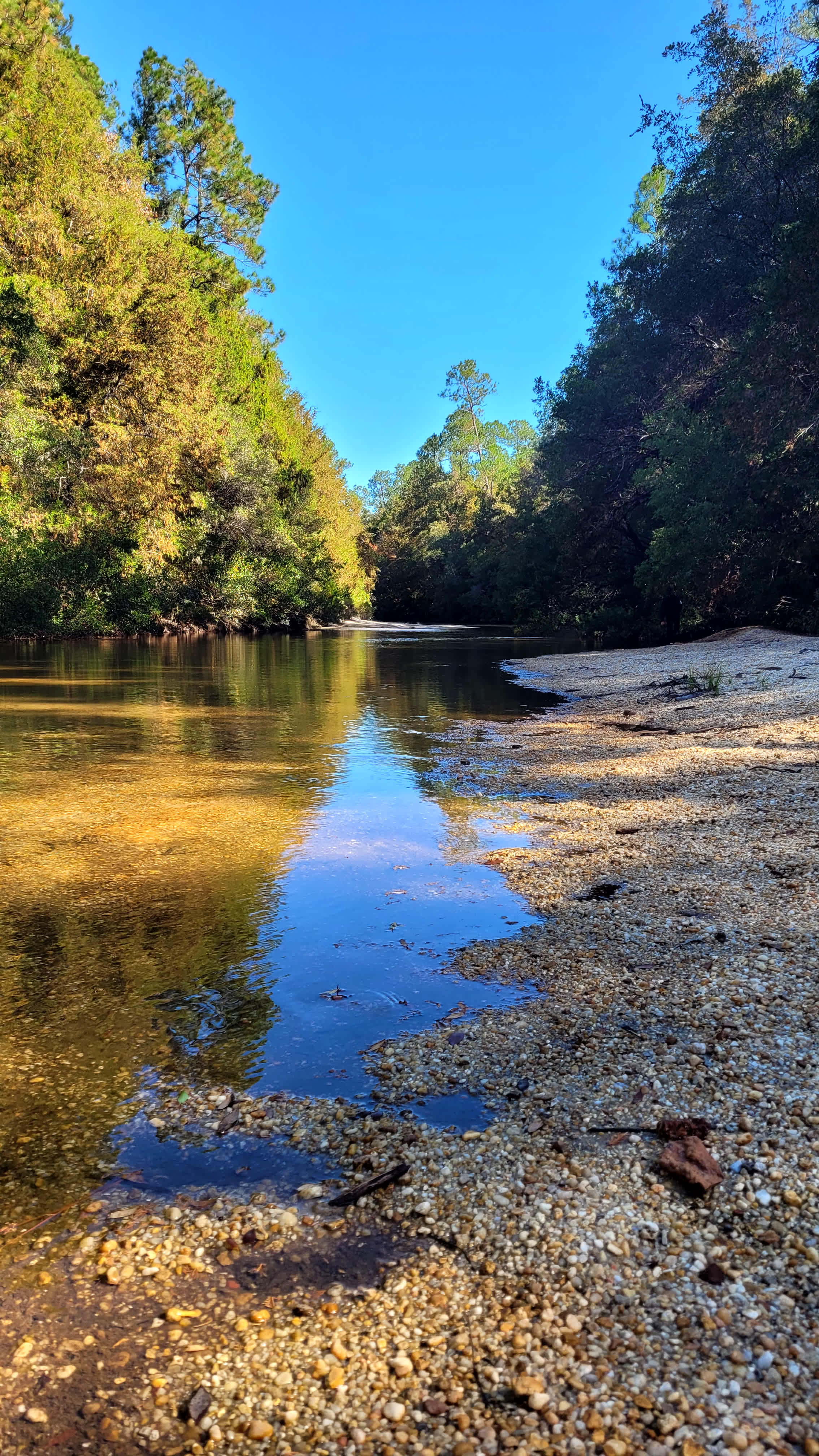 Beautiful scenery on our trail walk.