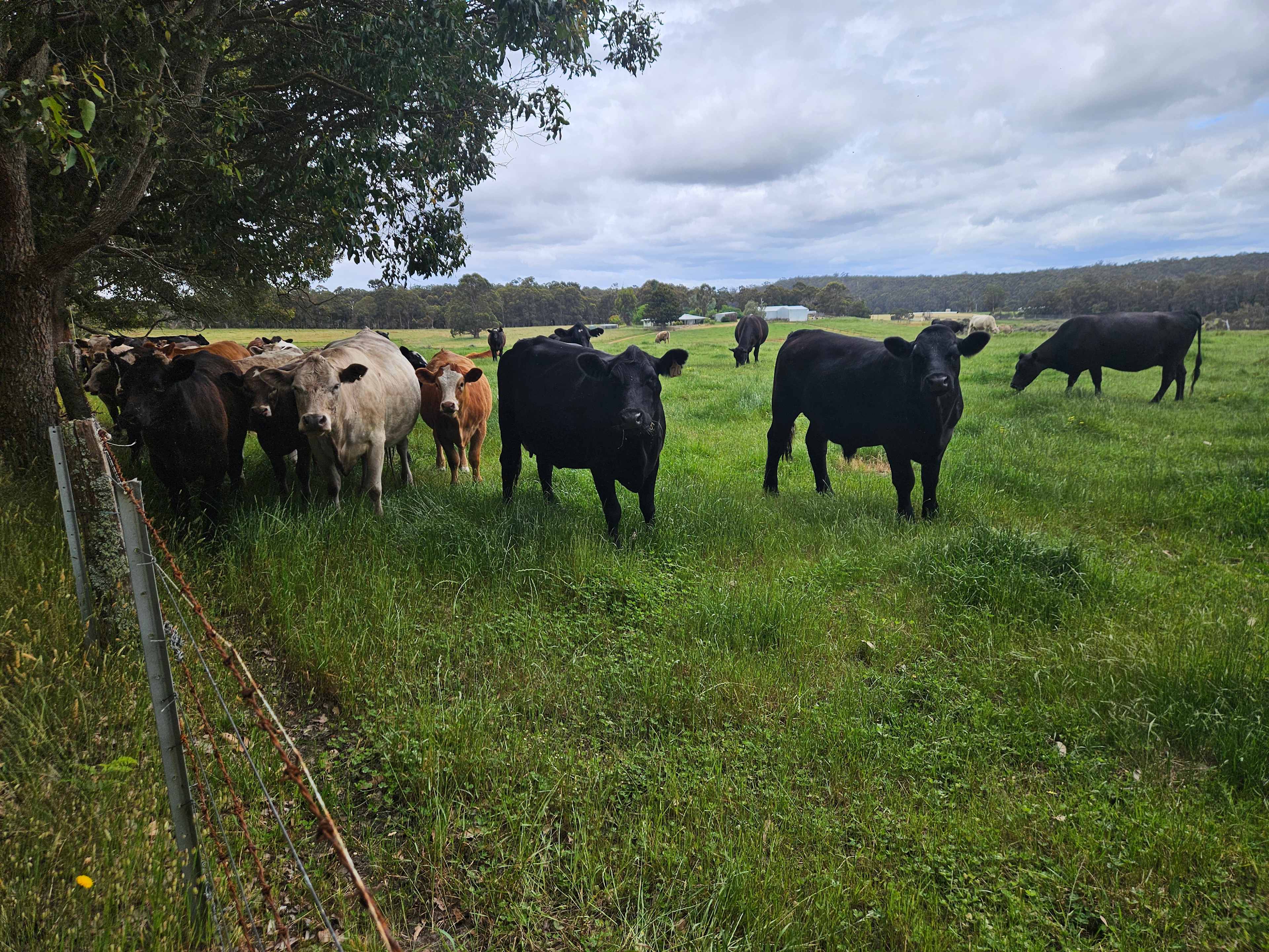 Northcliffe Nature Park