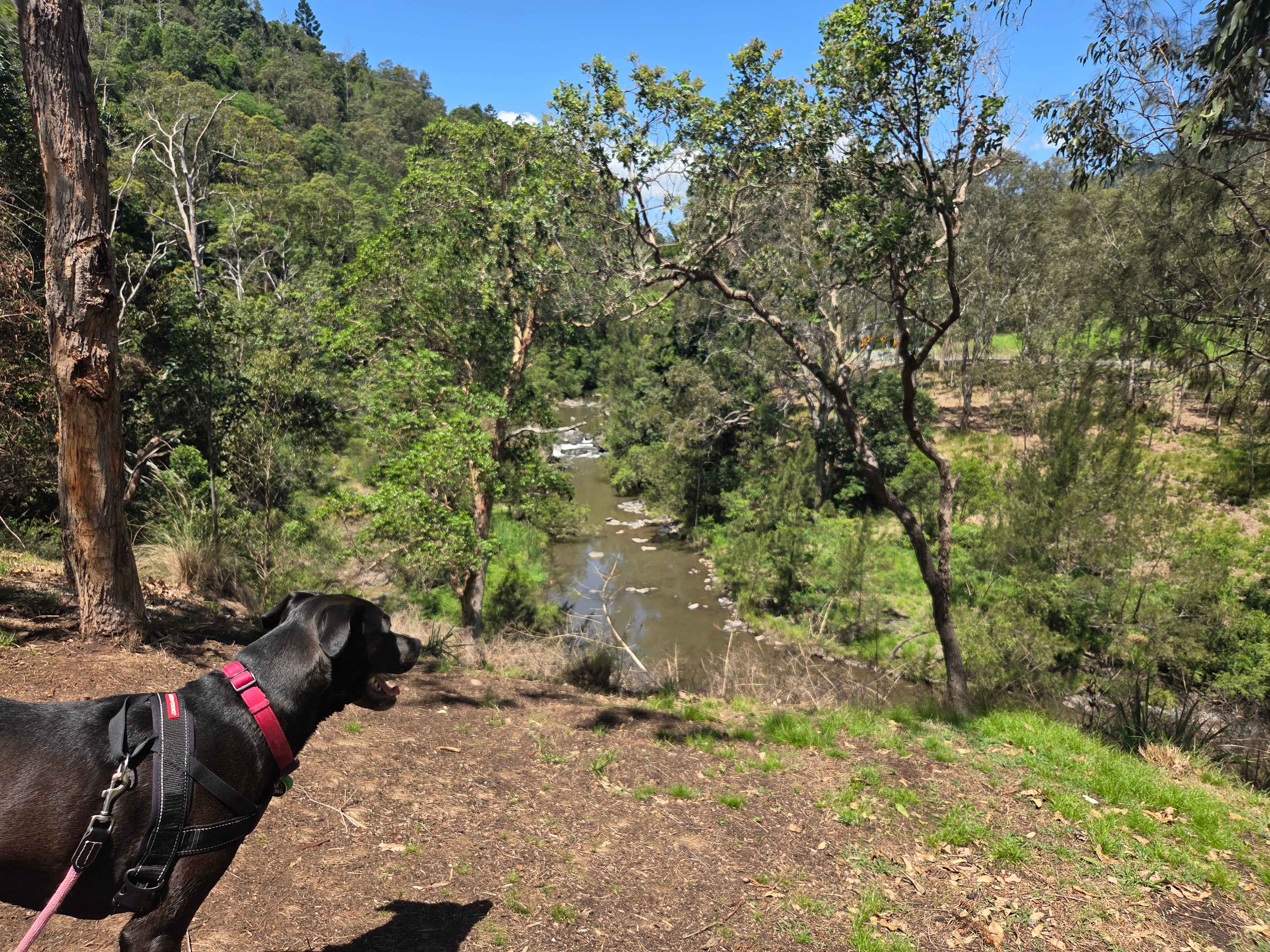 Andrew Drynan Park-Camp with a view