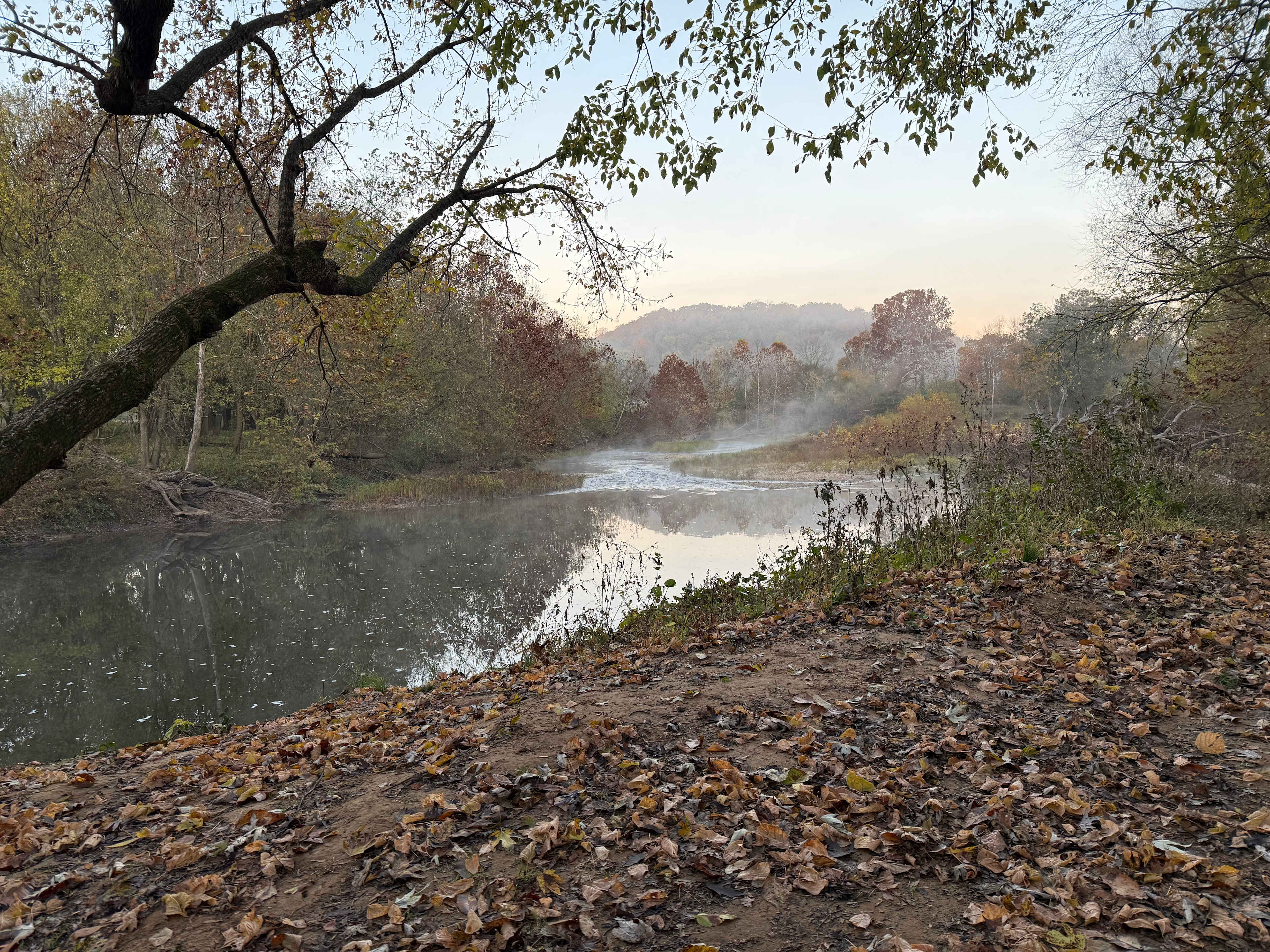 Illinois River Paradise | 60 Acres