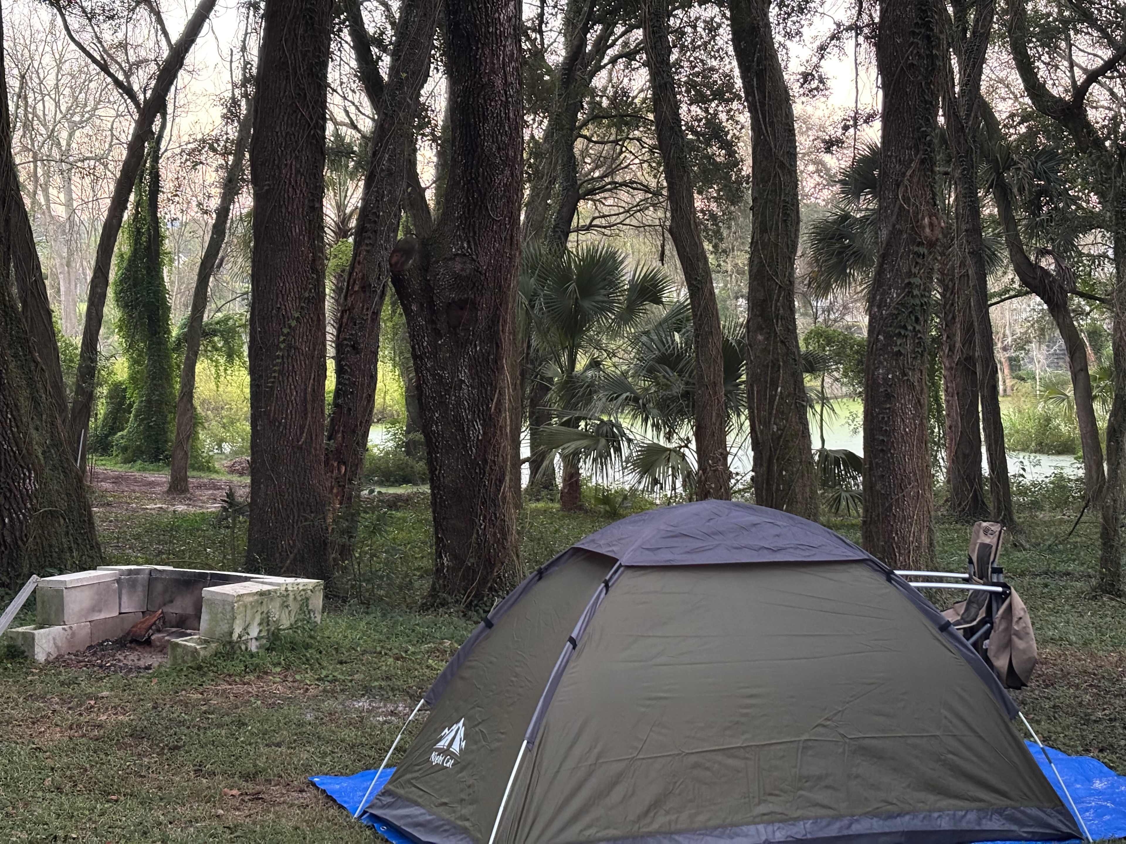 Home of Many Miniature Animals