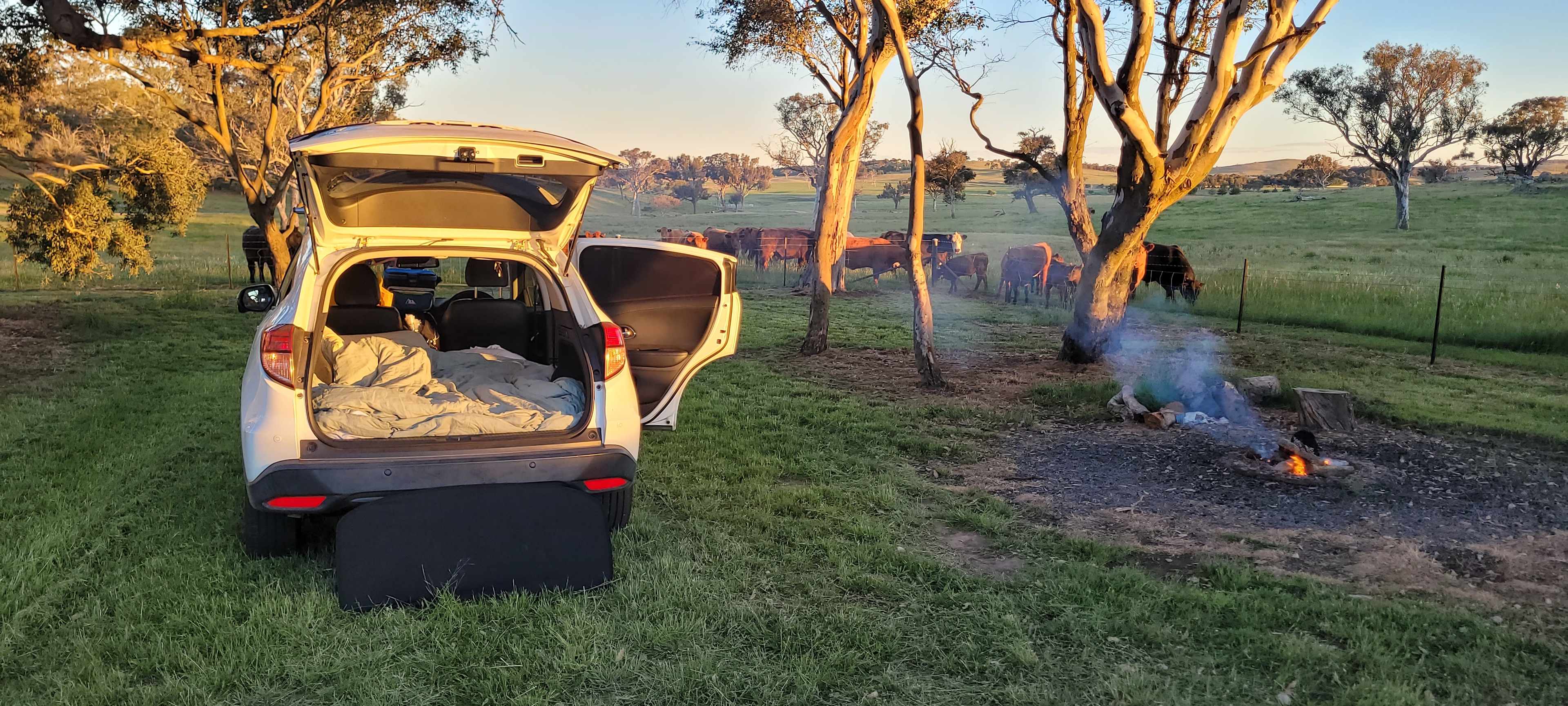 Coots Creek Campground