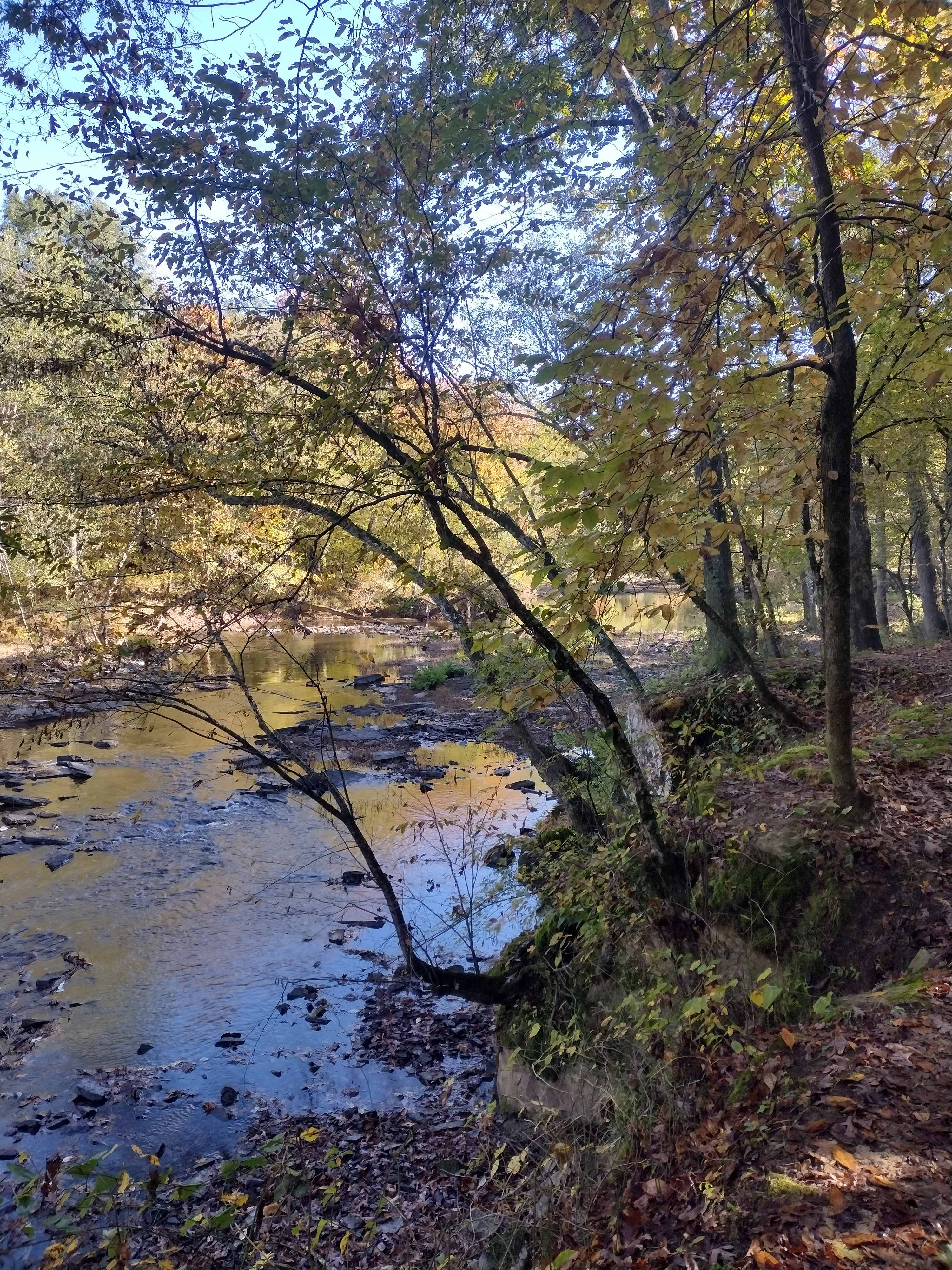 Pinnacle Springs Recreational Park