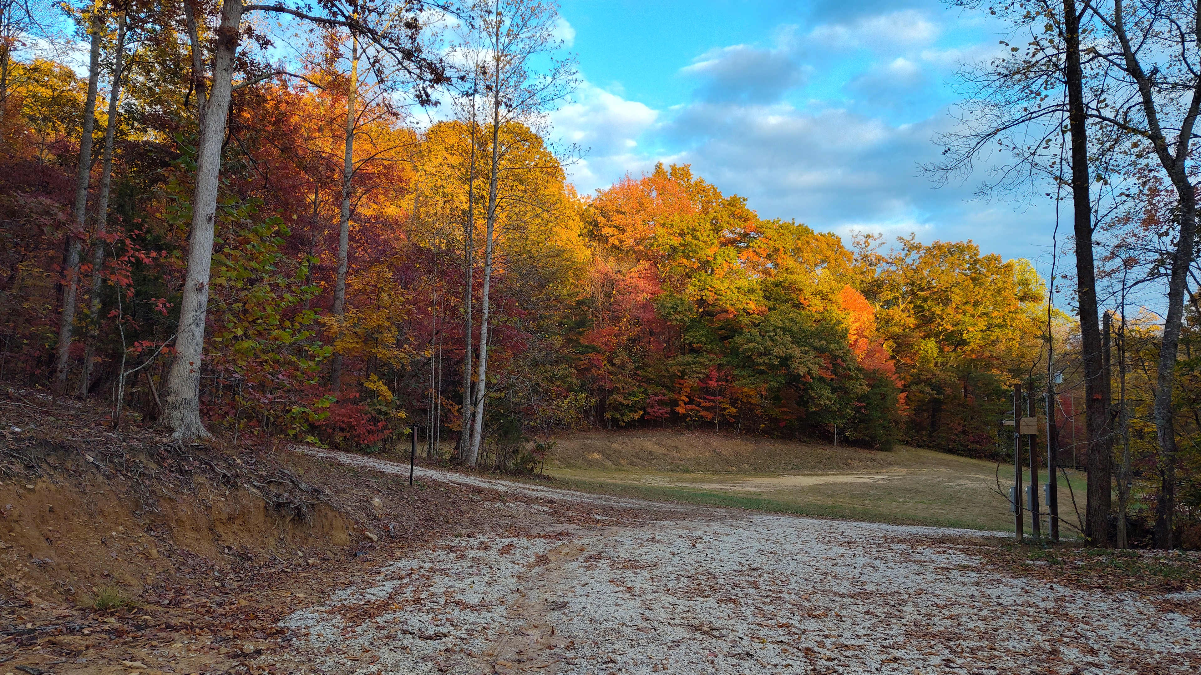 Red River Gorge Glamping & Cabins
