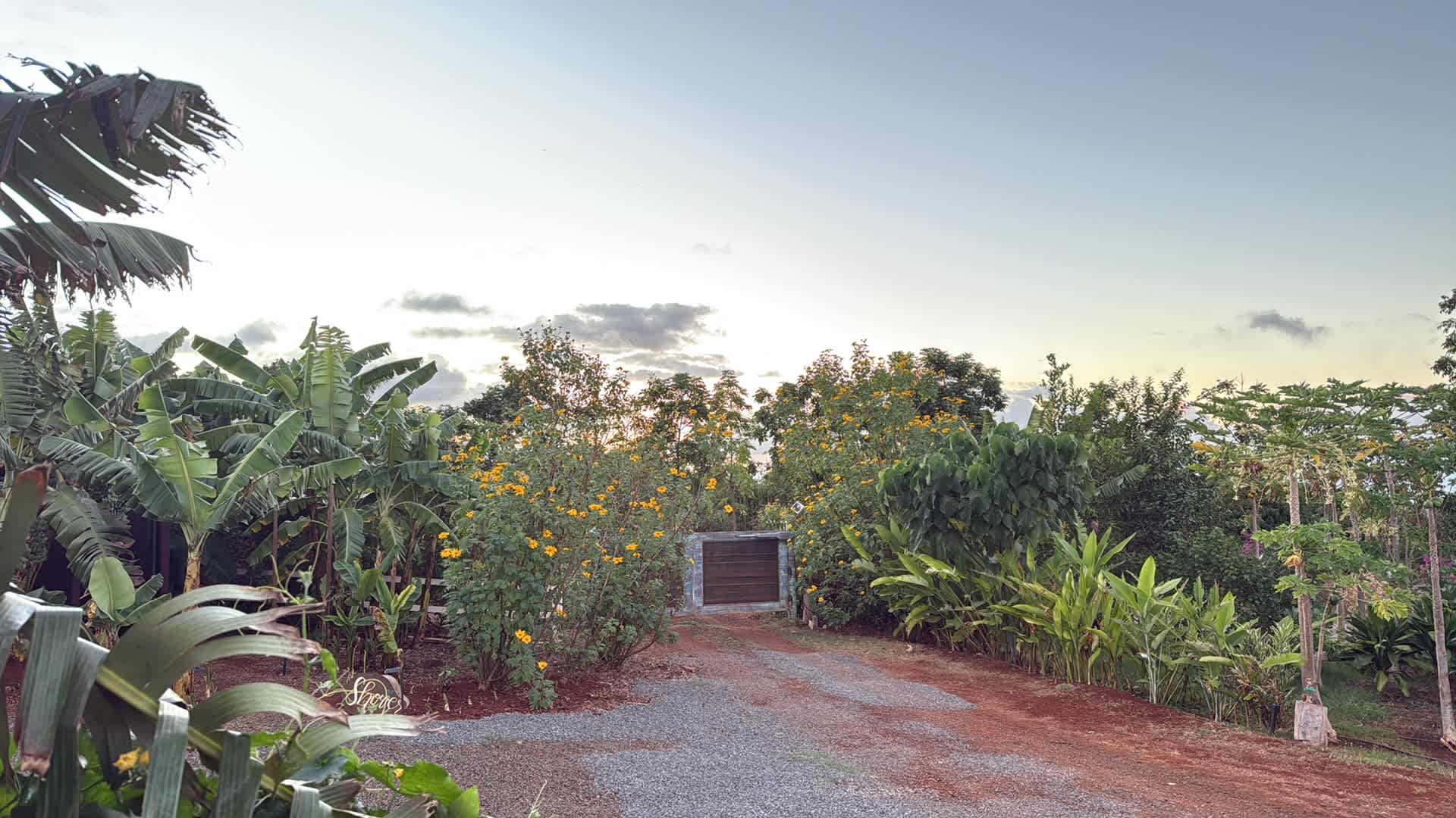 Living Circle Farms Hawaii