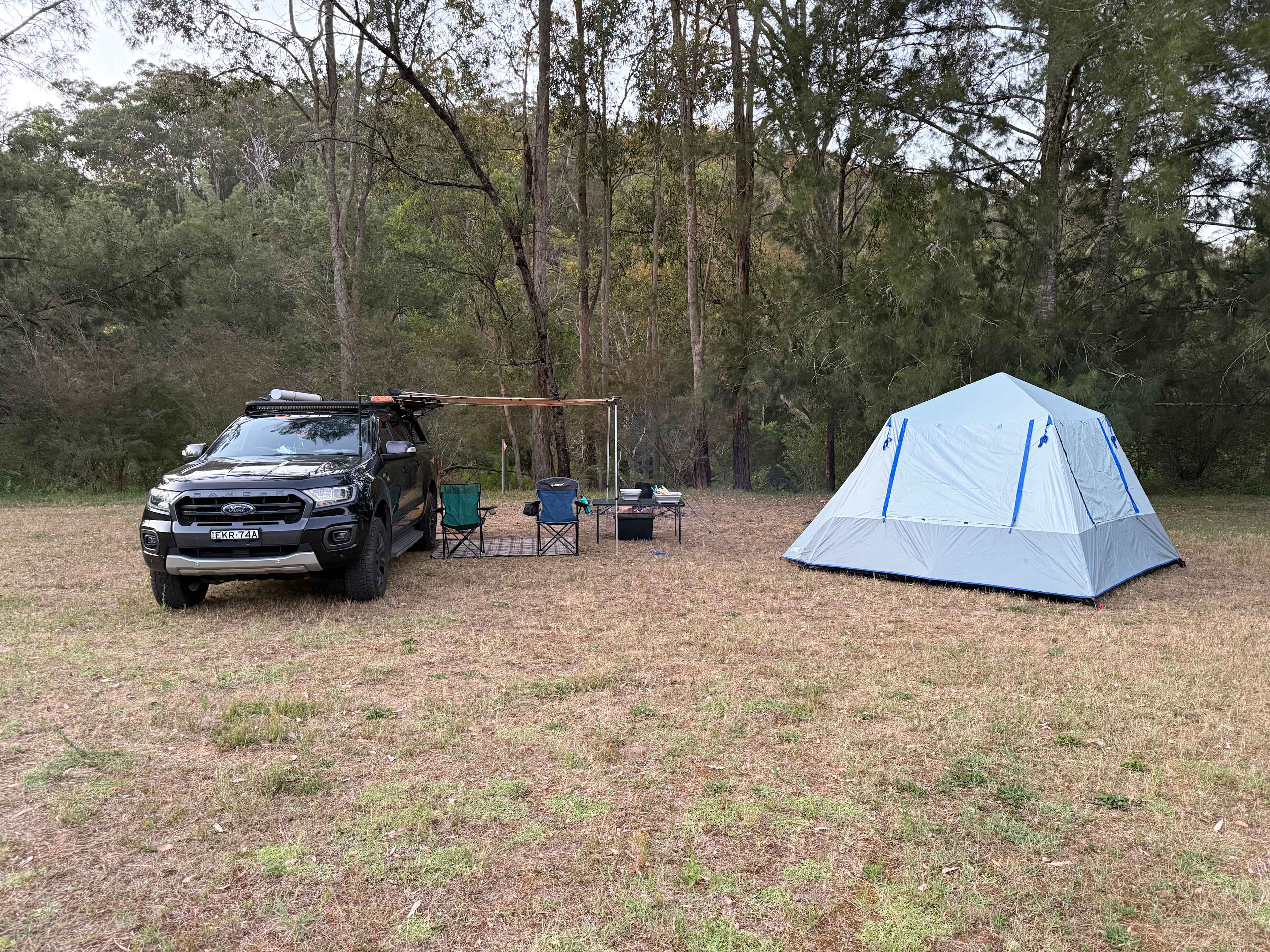 One of the main larger sites in the ‘paddock’. 