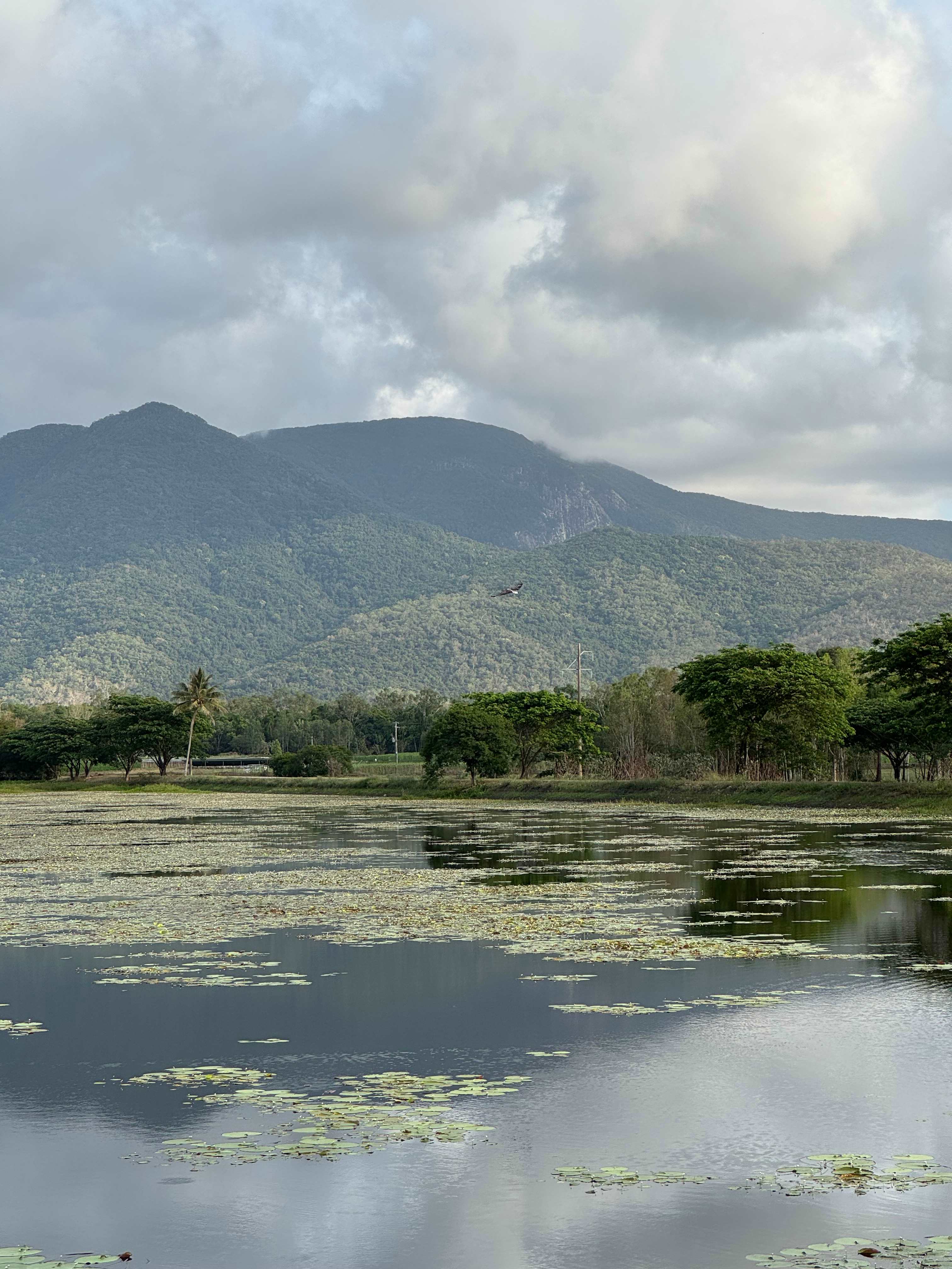 Mount Surround Campground