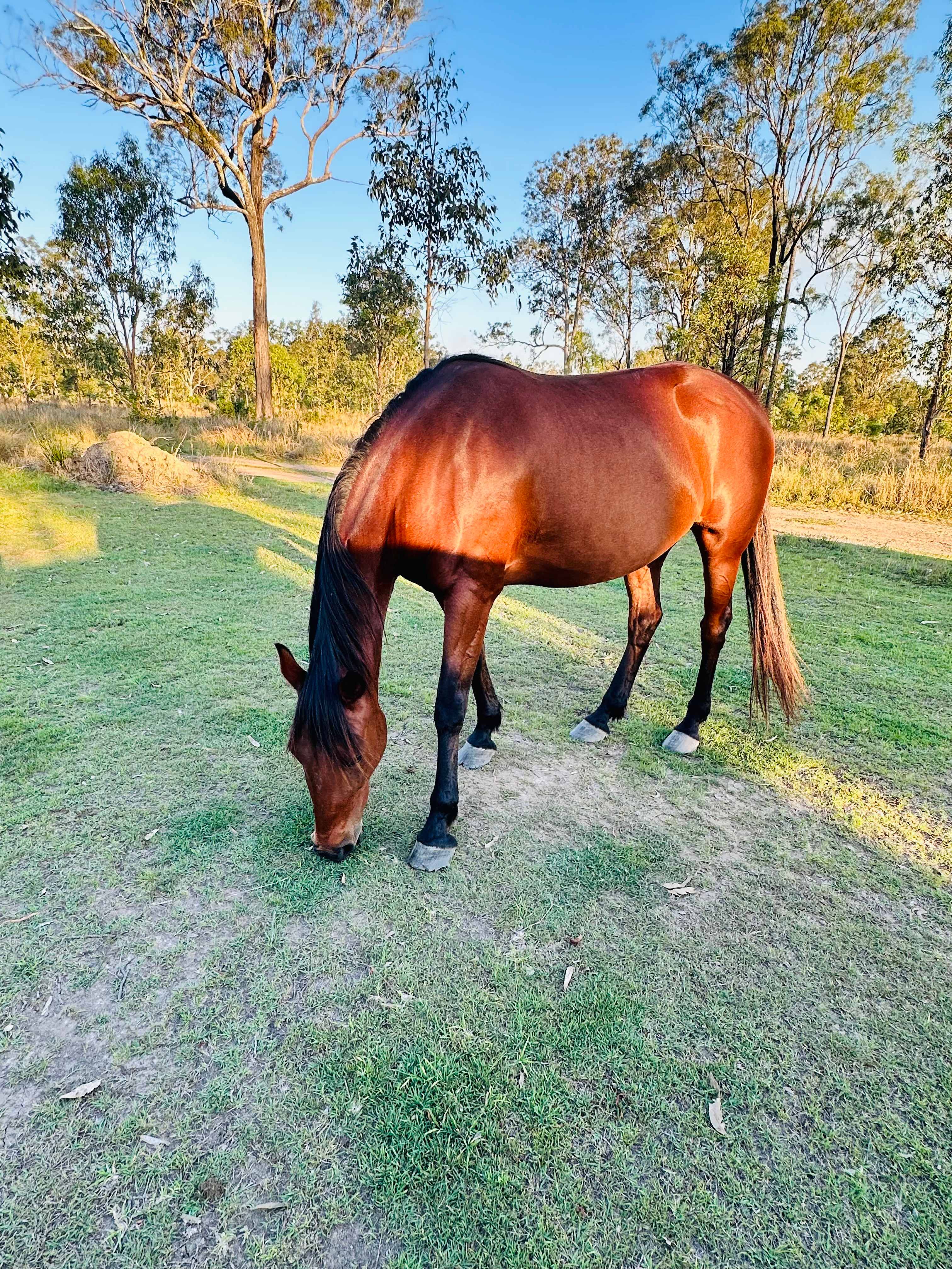Jack's Place Toogoolawah