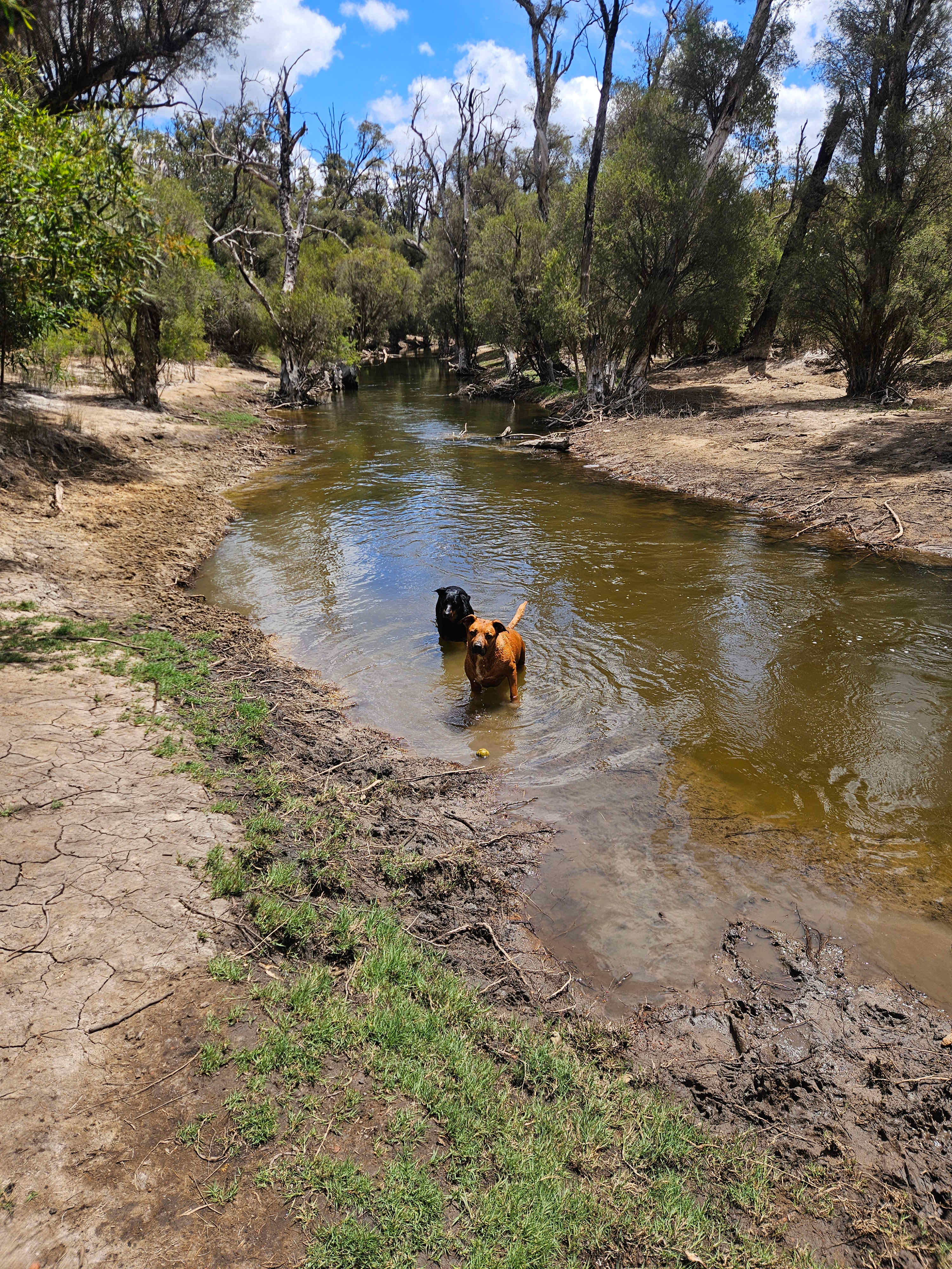 Murray Valley Camping
