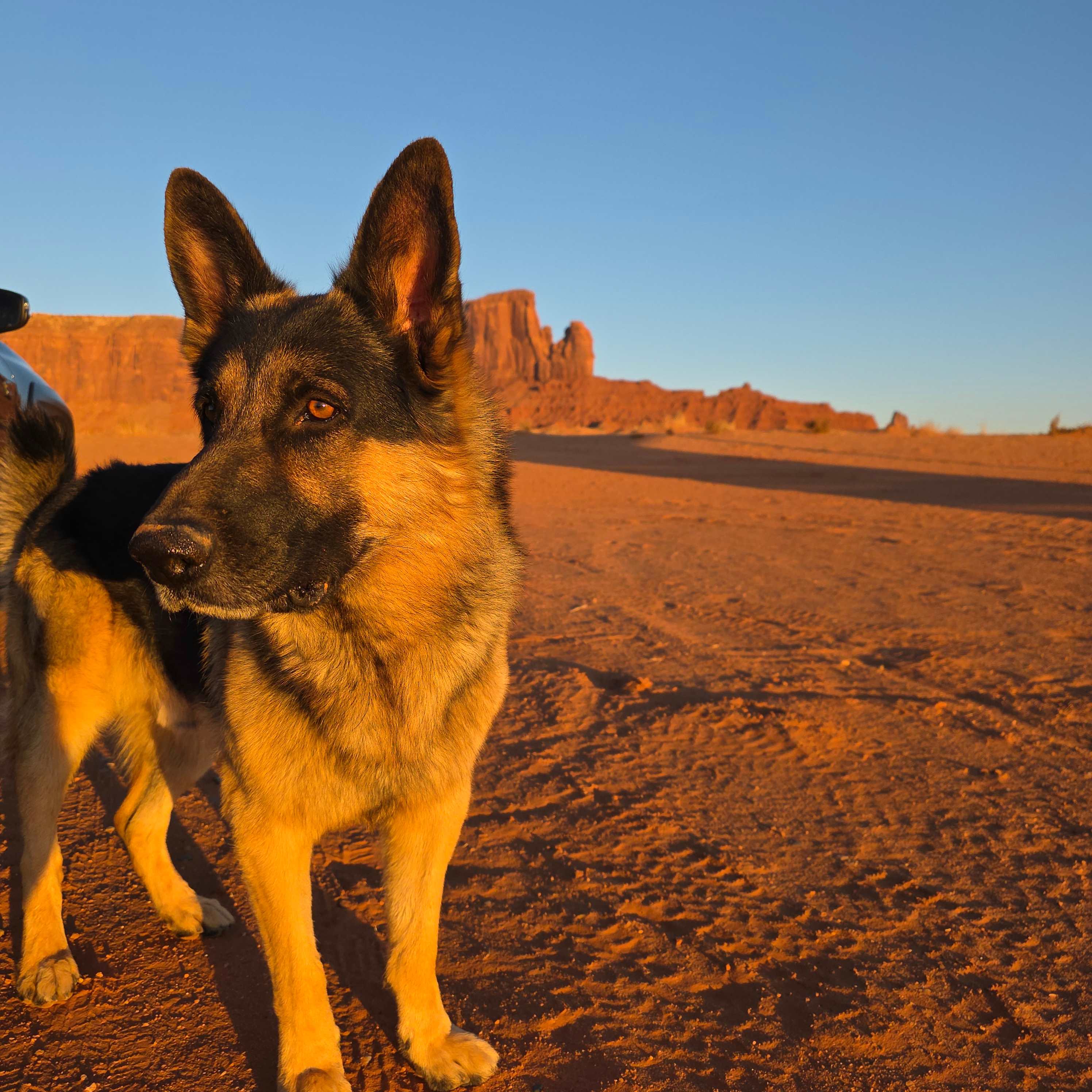 Arrowhead Campground