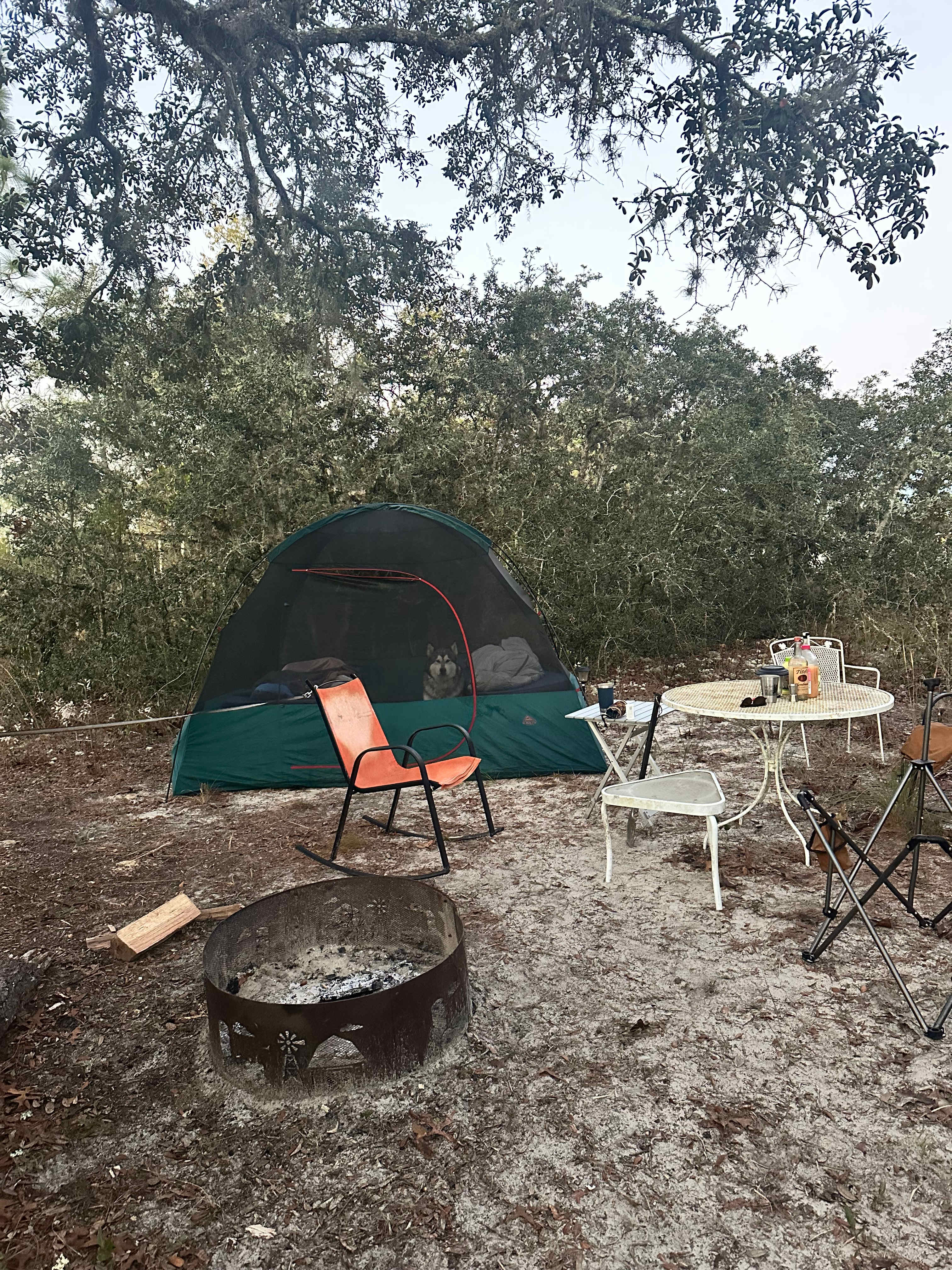 Happy Campers Rescue Ranch