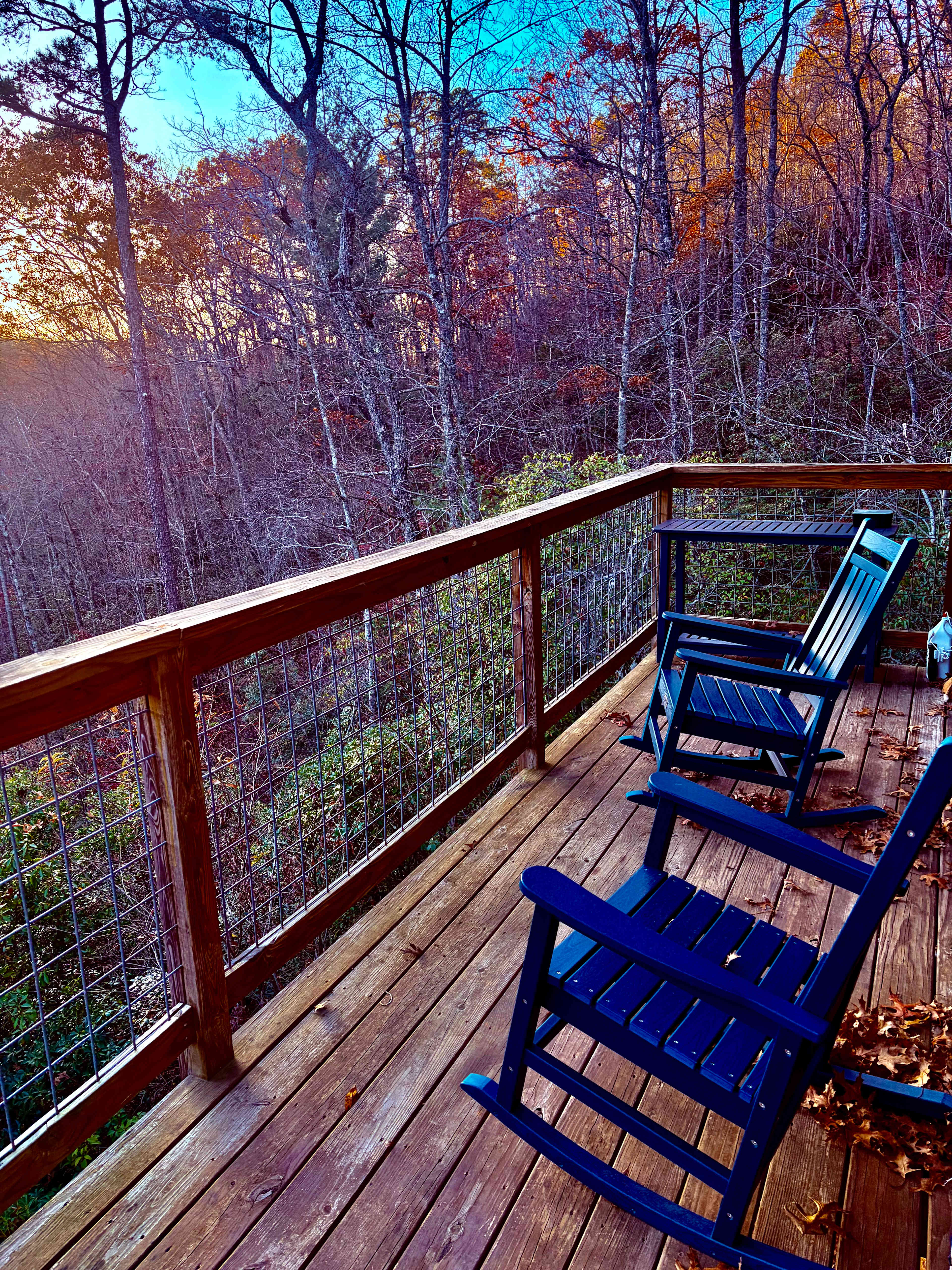 The Rowdy Bear Off-Grid Glamping