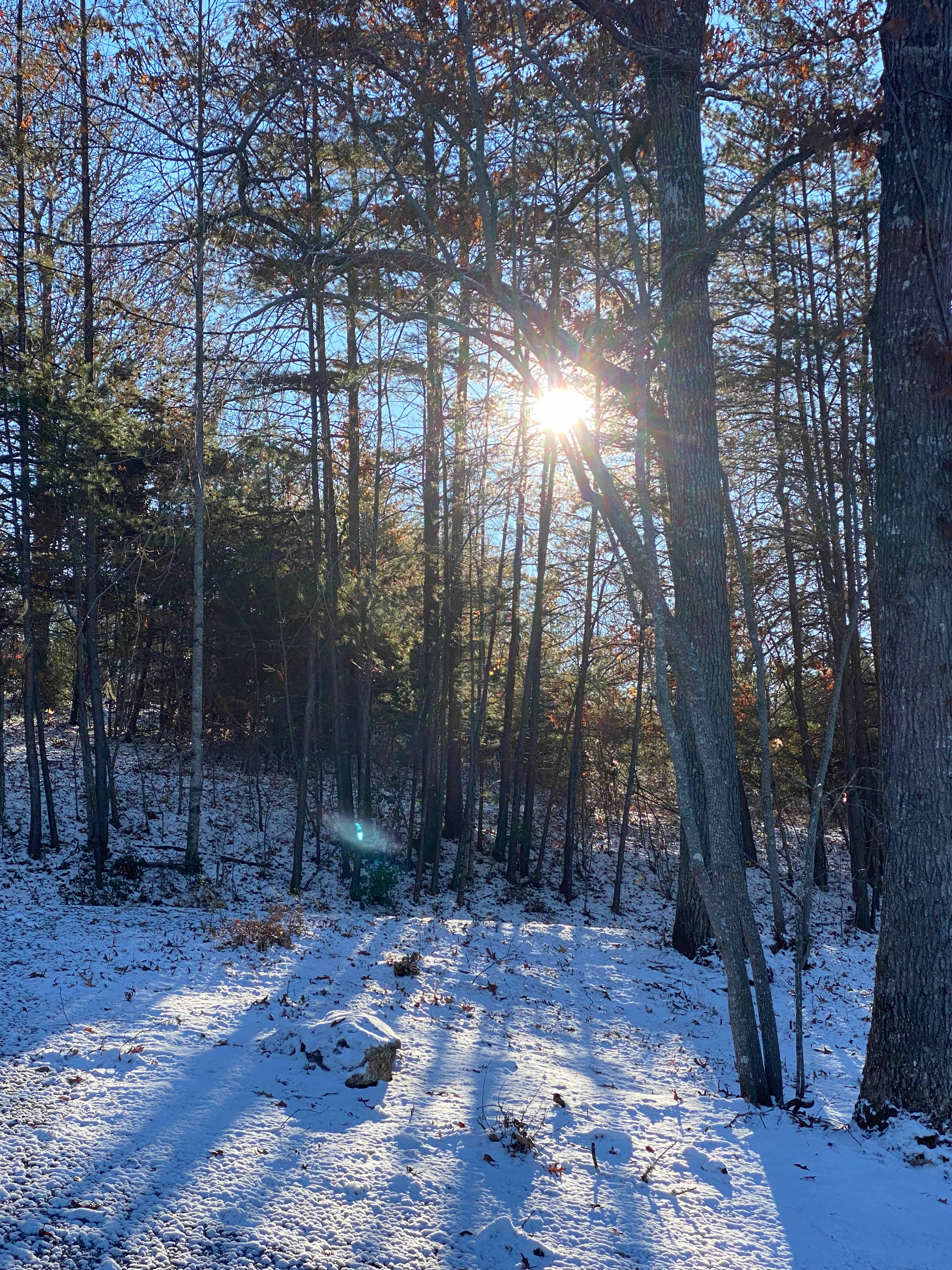 A beautiful snowfall during our second week. 