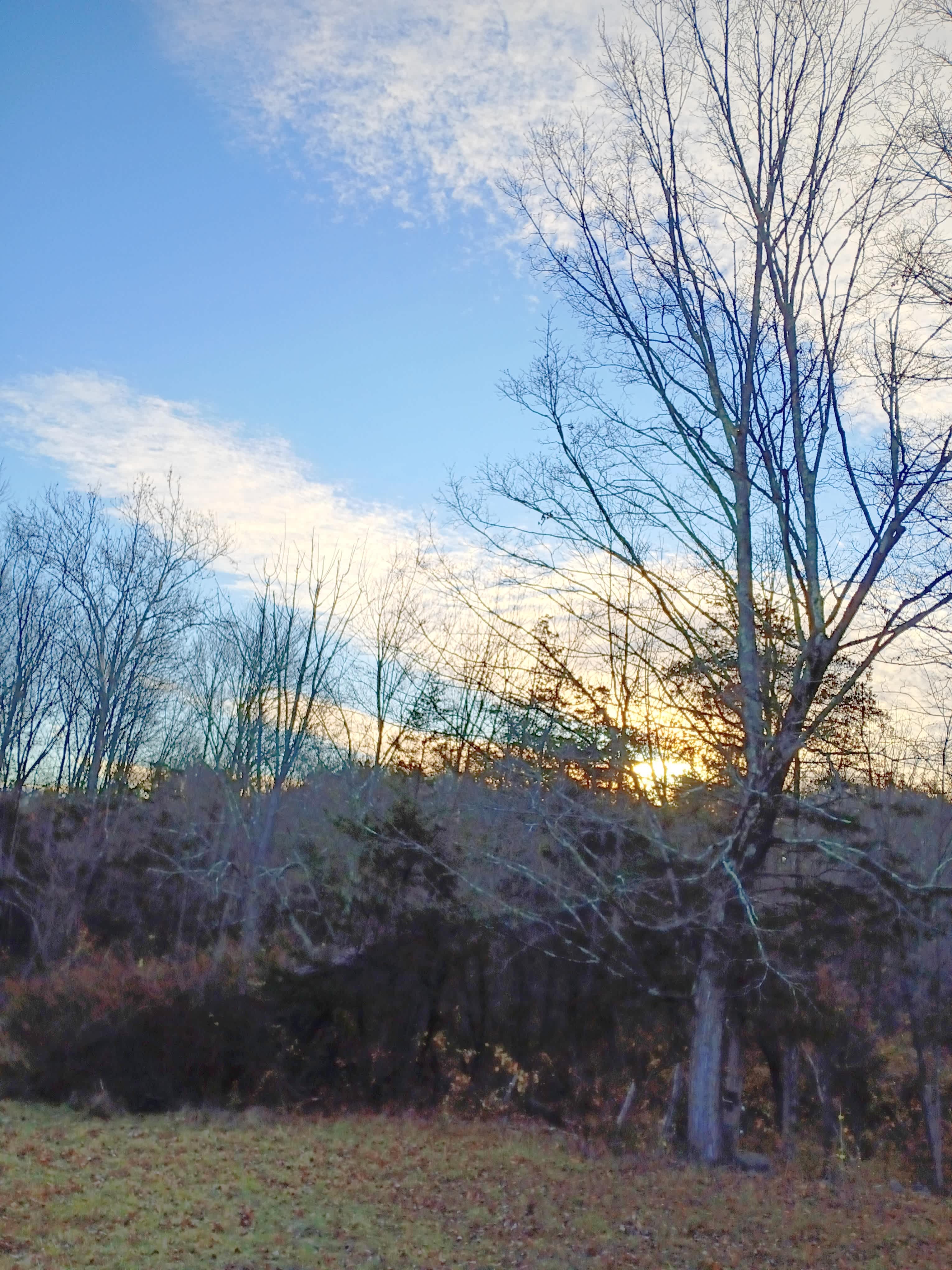 Greener Pastures Camp