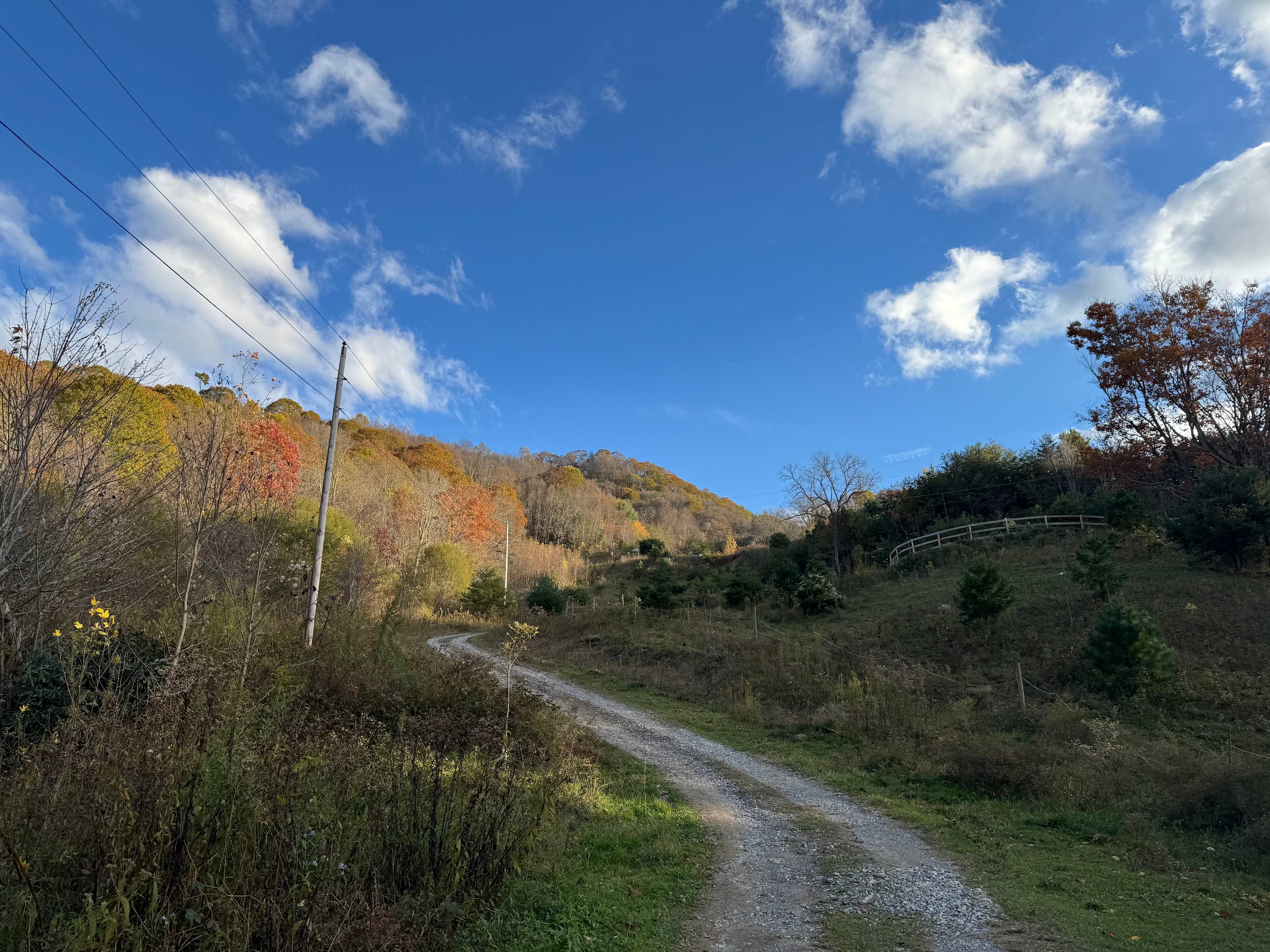 Pause || Eco-Retreat at Aramesh