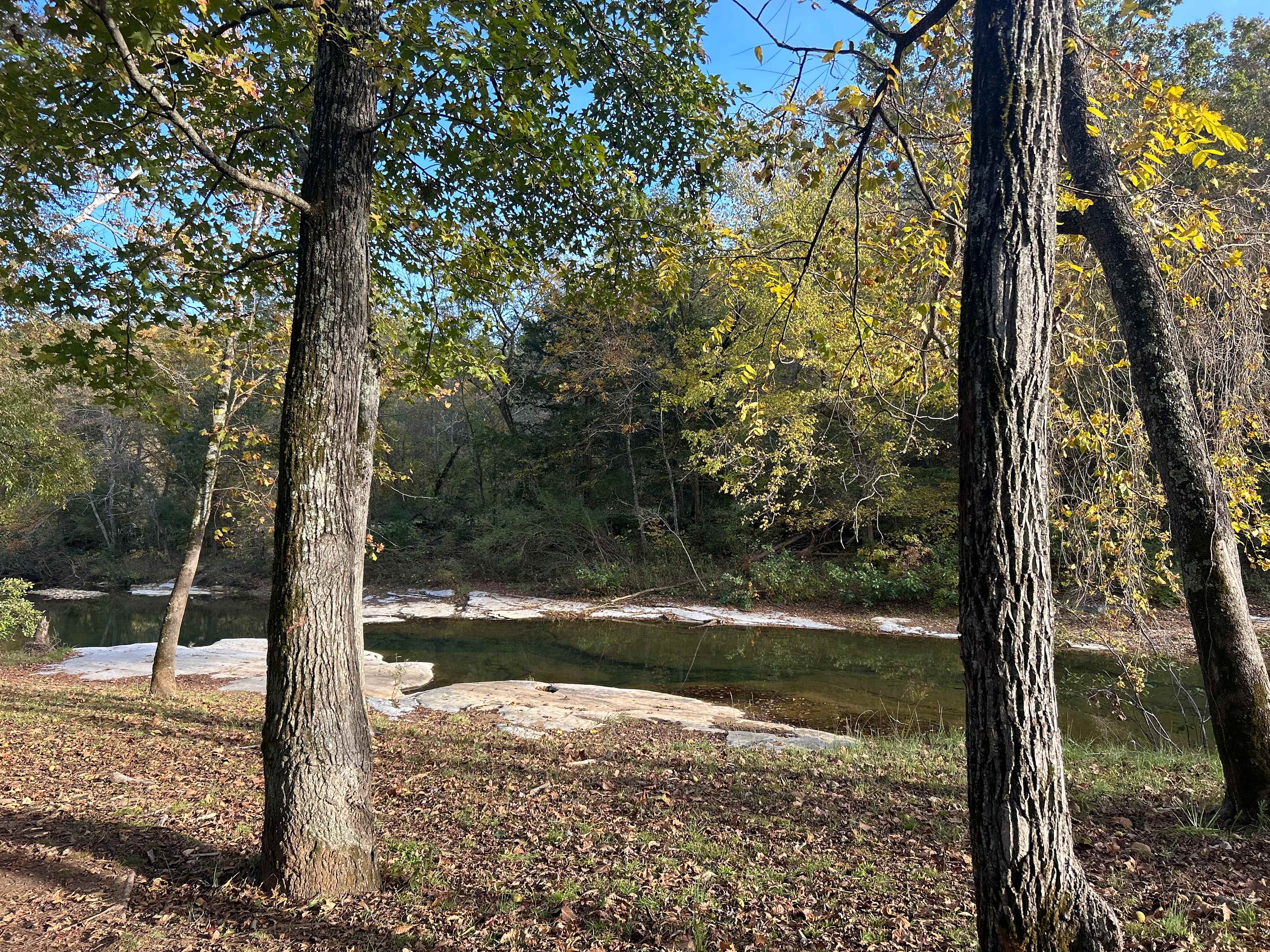 Lovely creek - crystal clear water