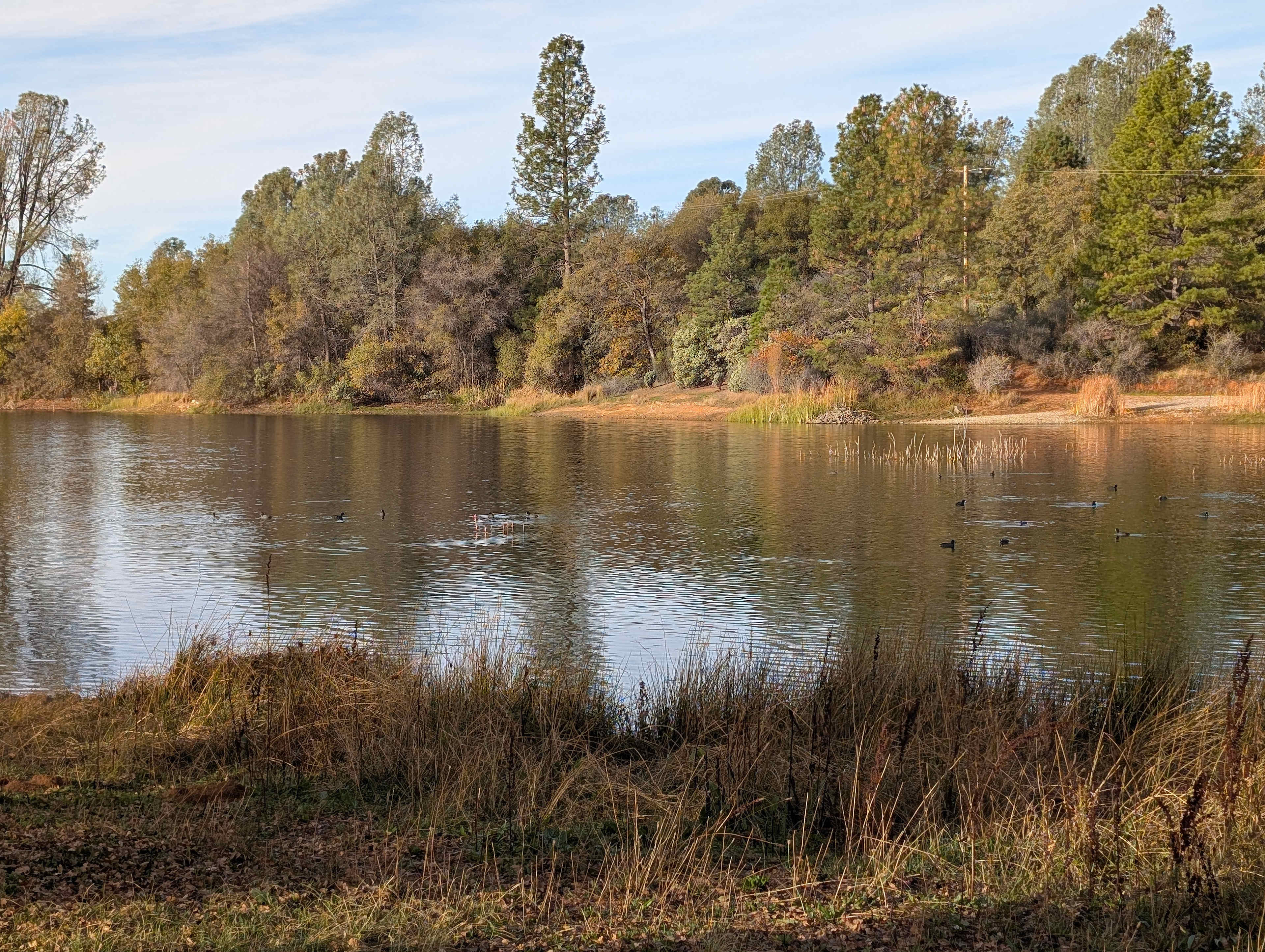 Finnon Lake Recreation Area