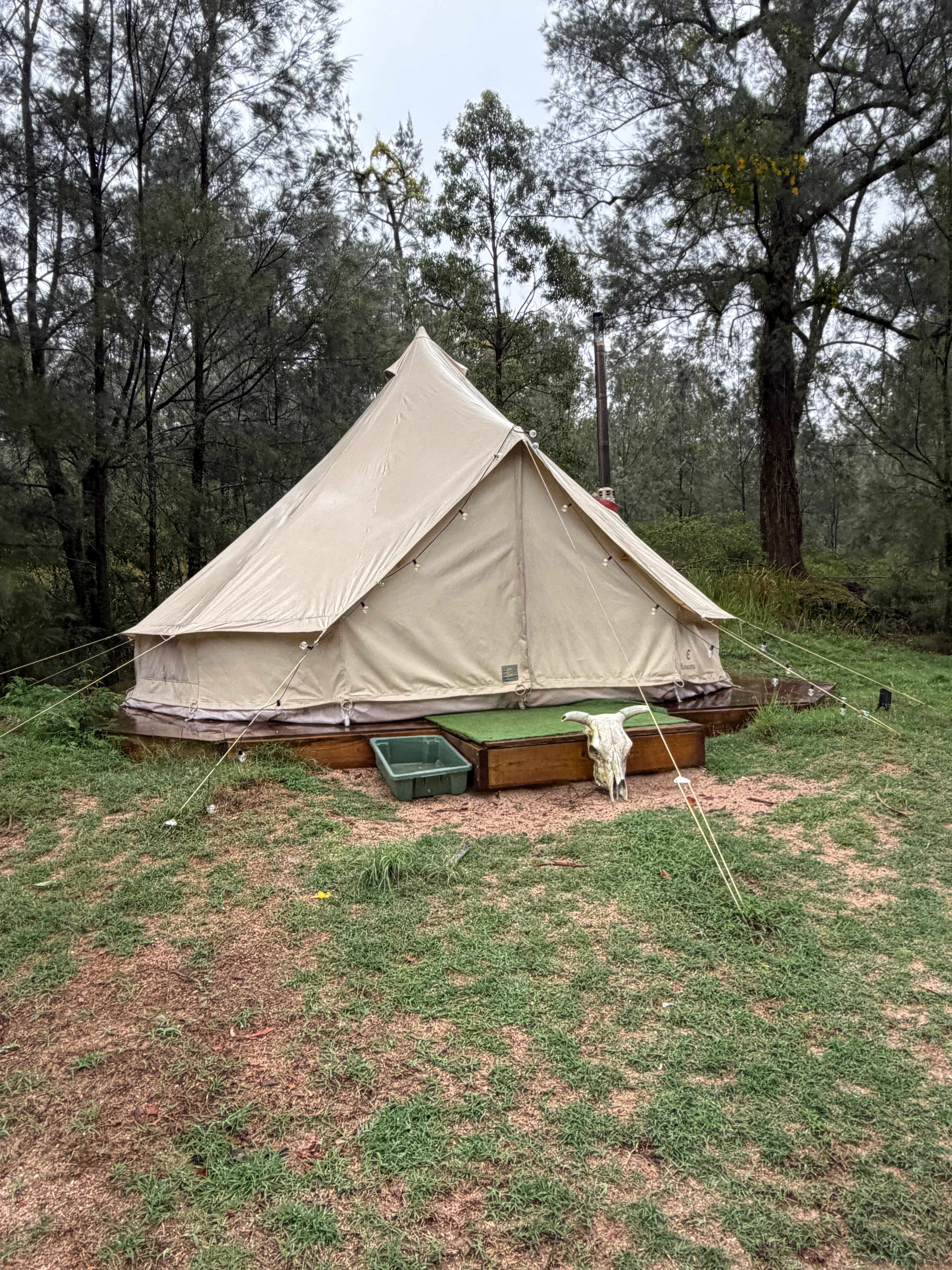 Small tent to call home