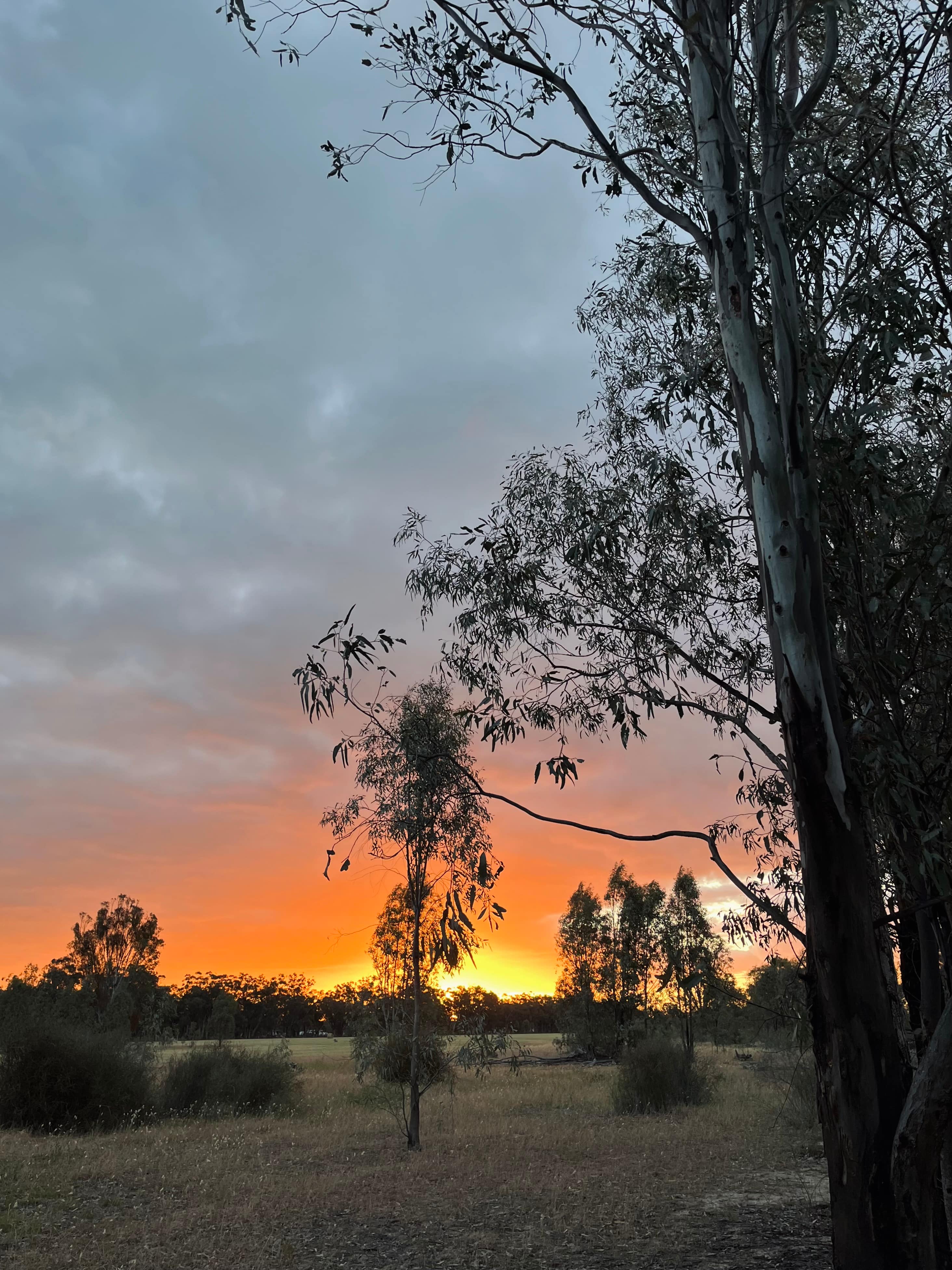 Tooranie Stay Echuca Moama