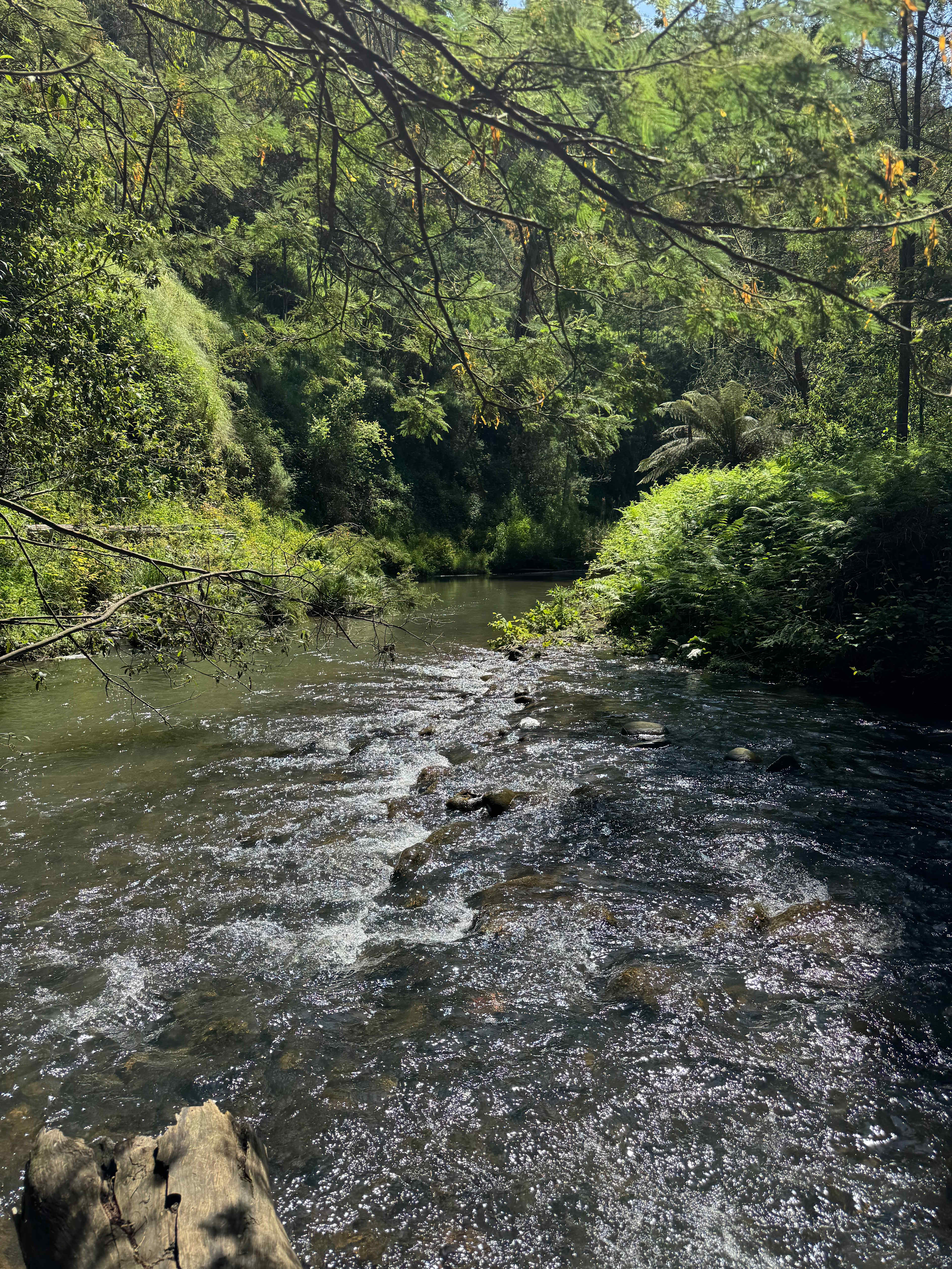 Merrimans Creek Seclusion