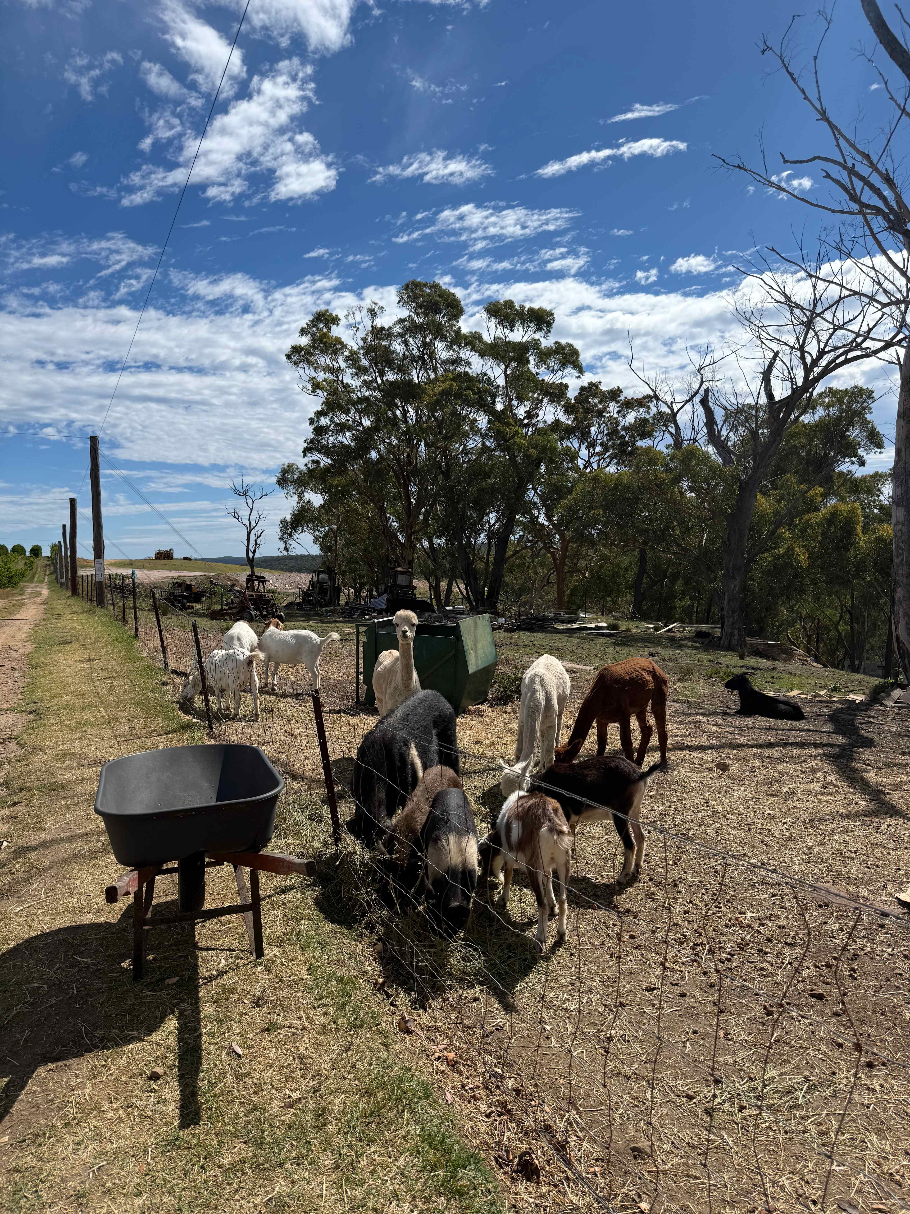 Canoelands Orchard Camping