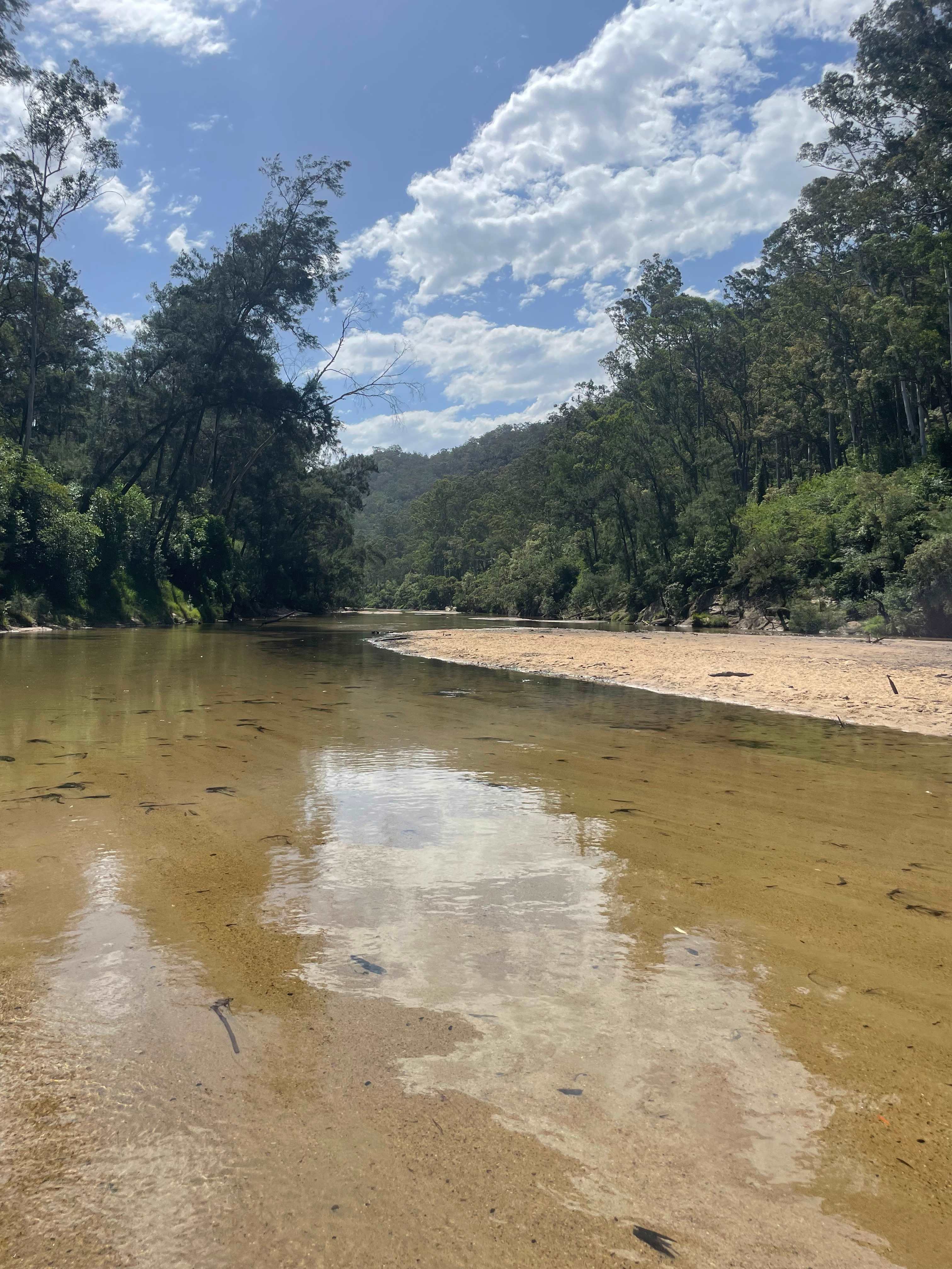 "DeView" Colo River Valley Camping