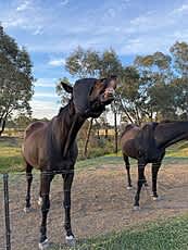 Retreat to Granite Springs Farmstay