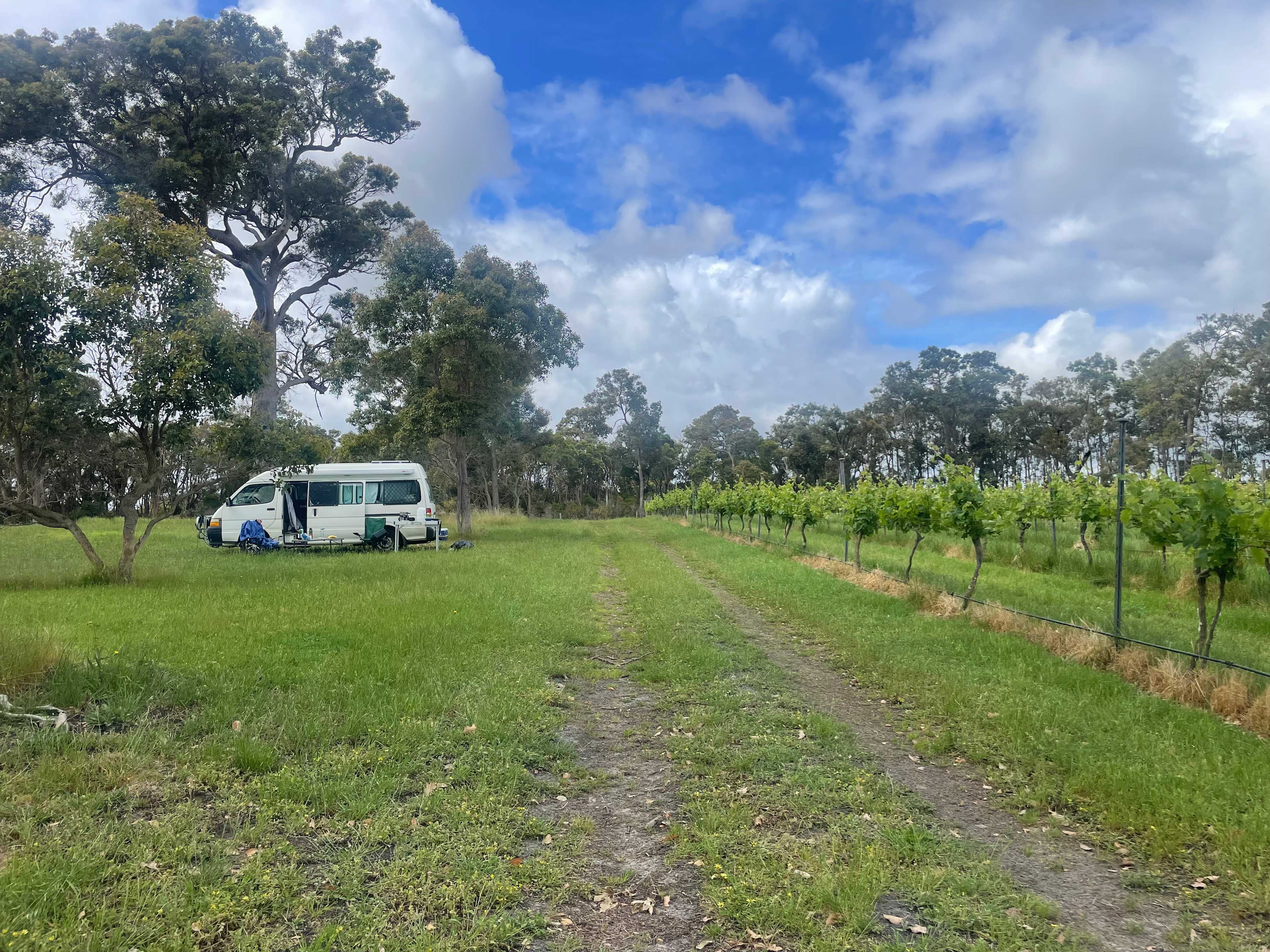 Big Nanna Vineyard