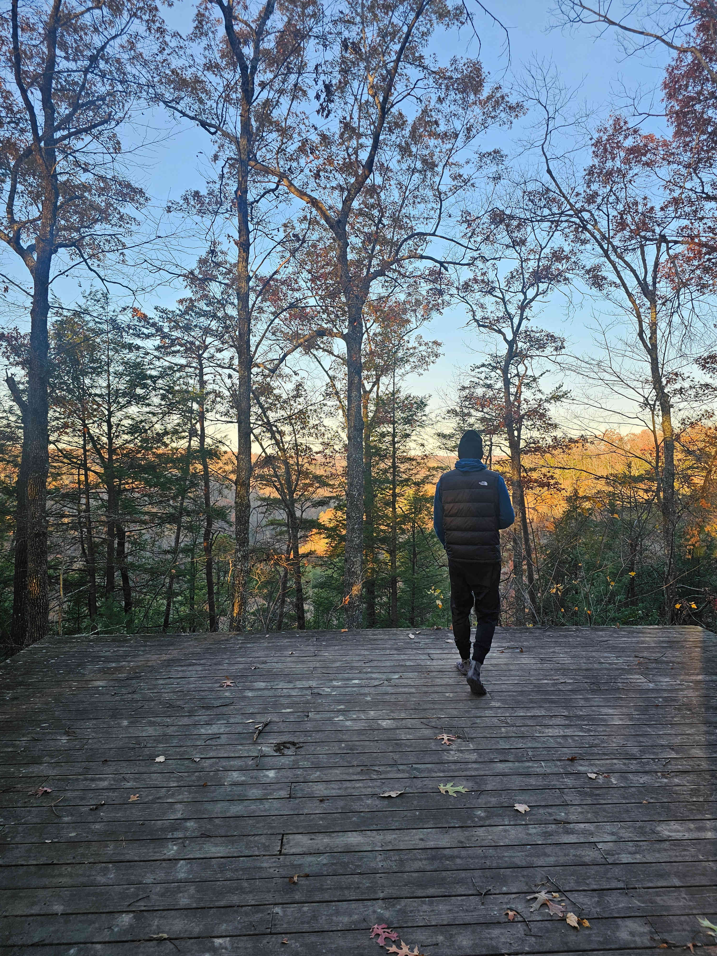 The LAAAAND (just you & 50 acres)