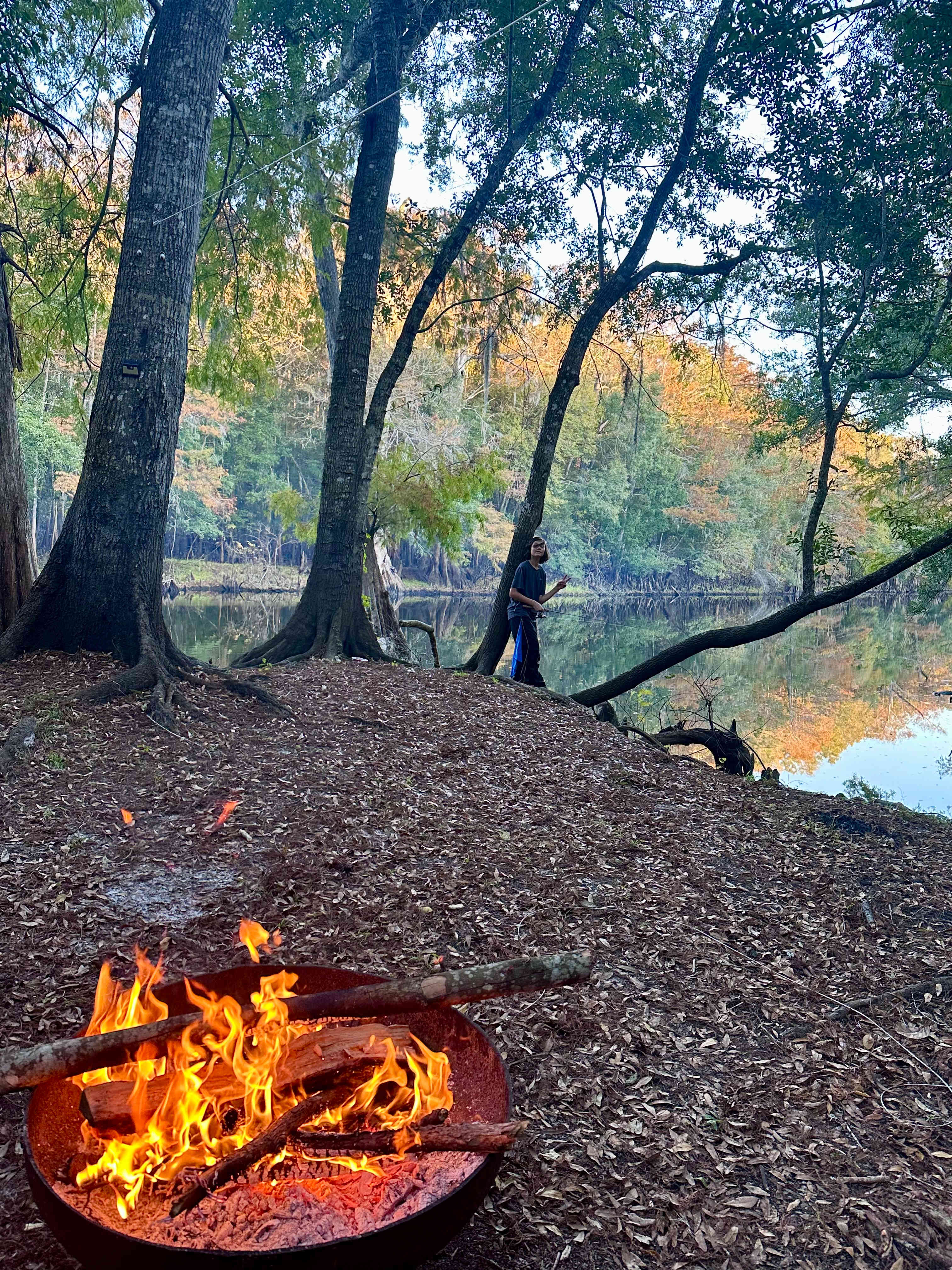 Primitive Island on Withlacoochee