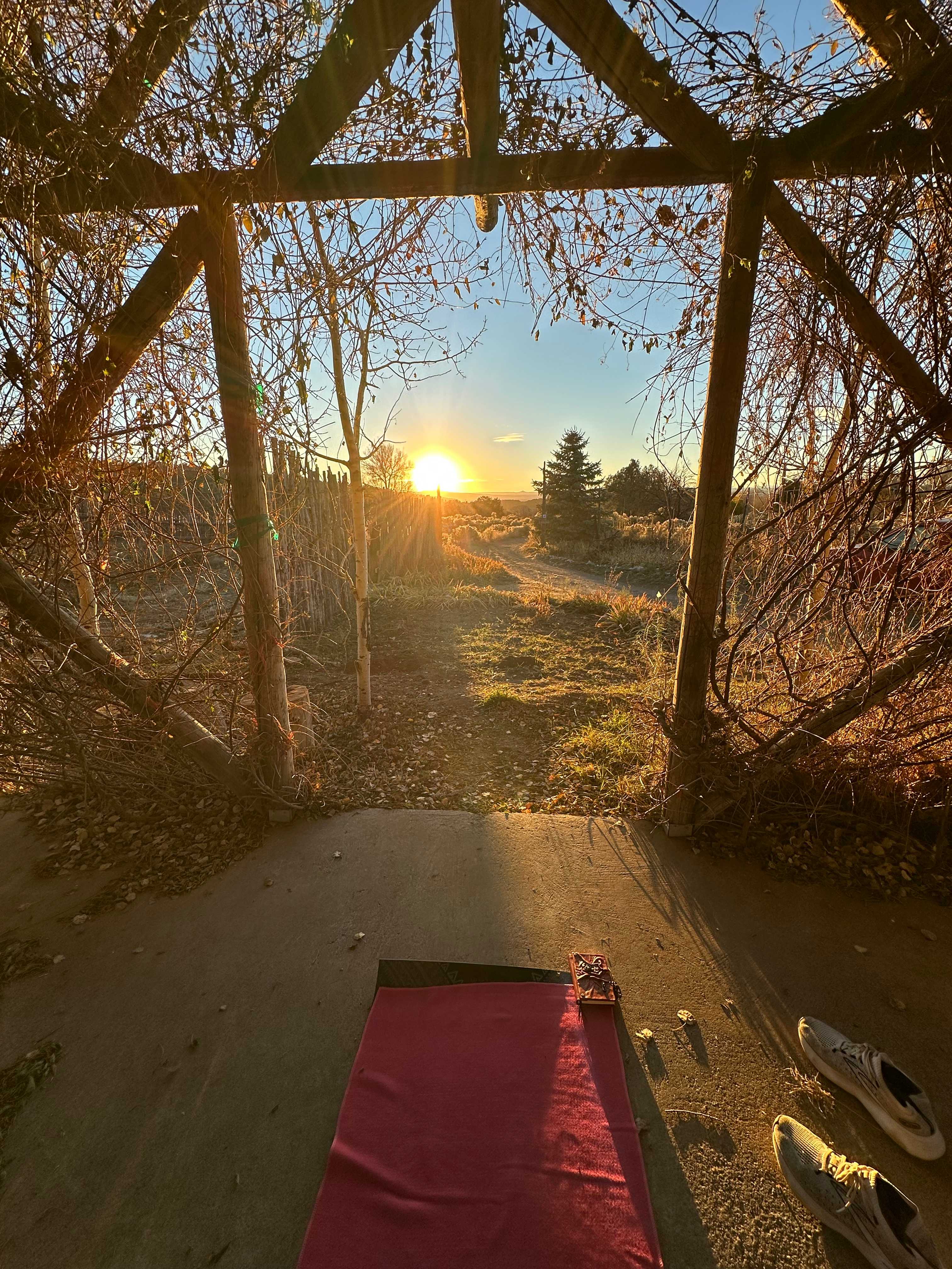 Taos Goji Farm & Eco Lodge