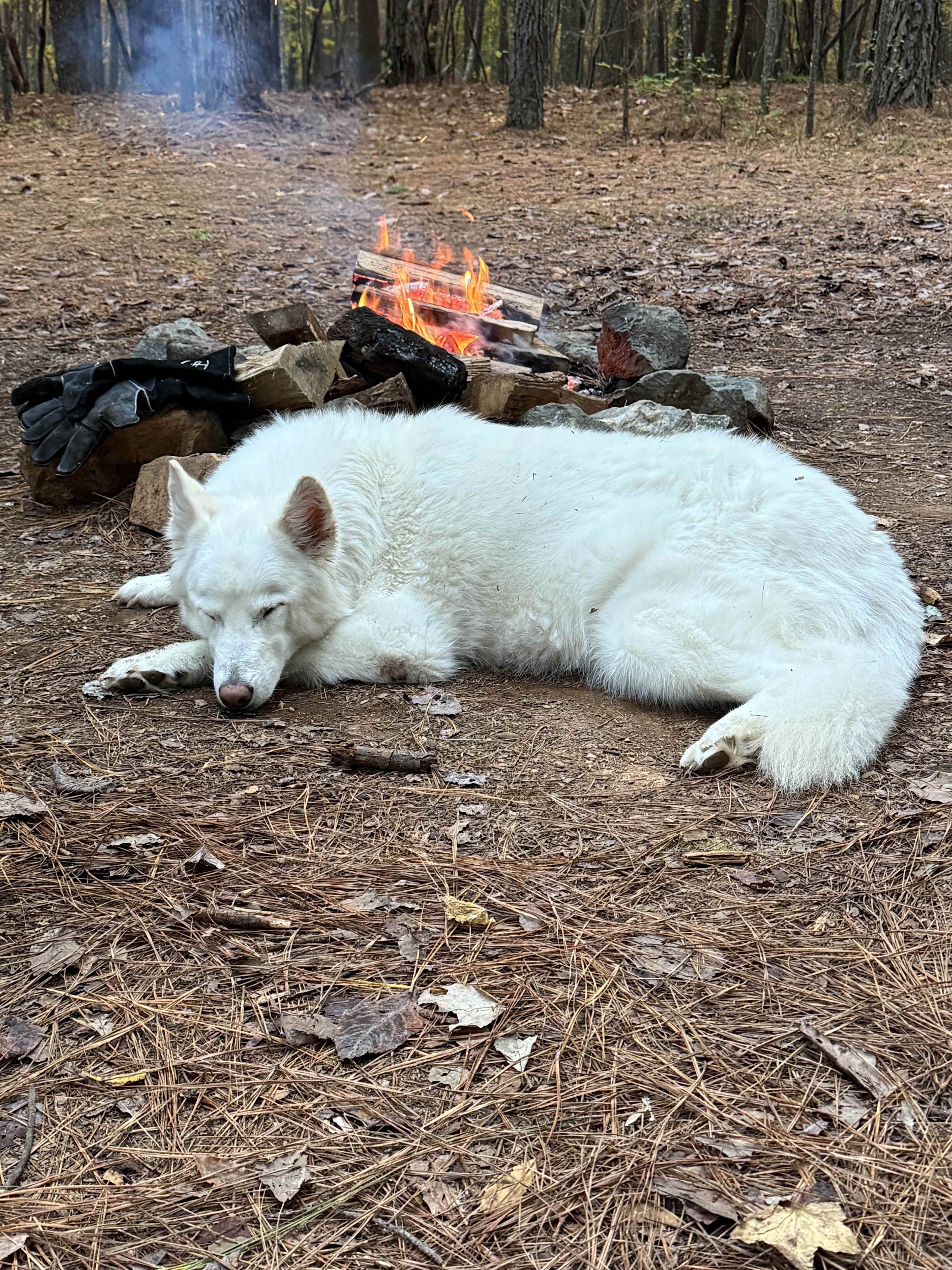 Tired after running on the trails.