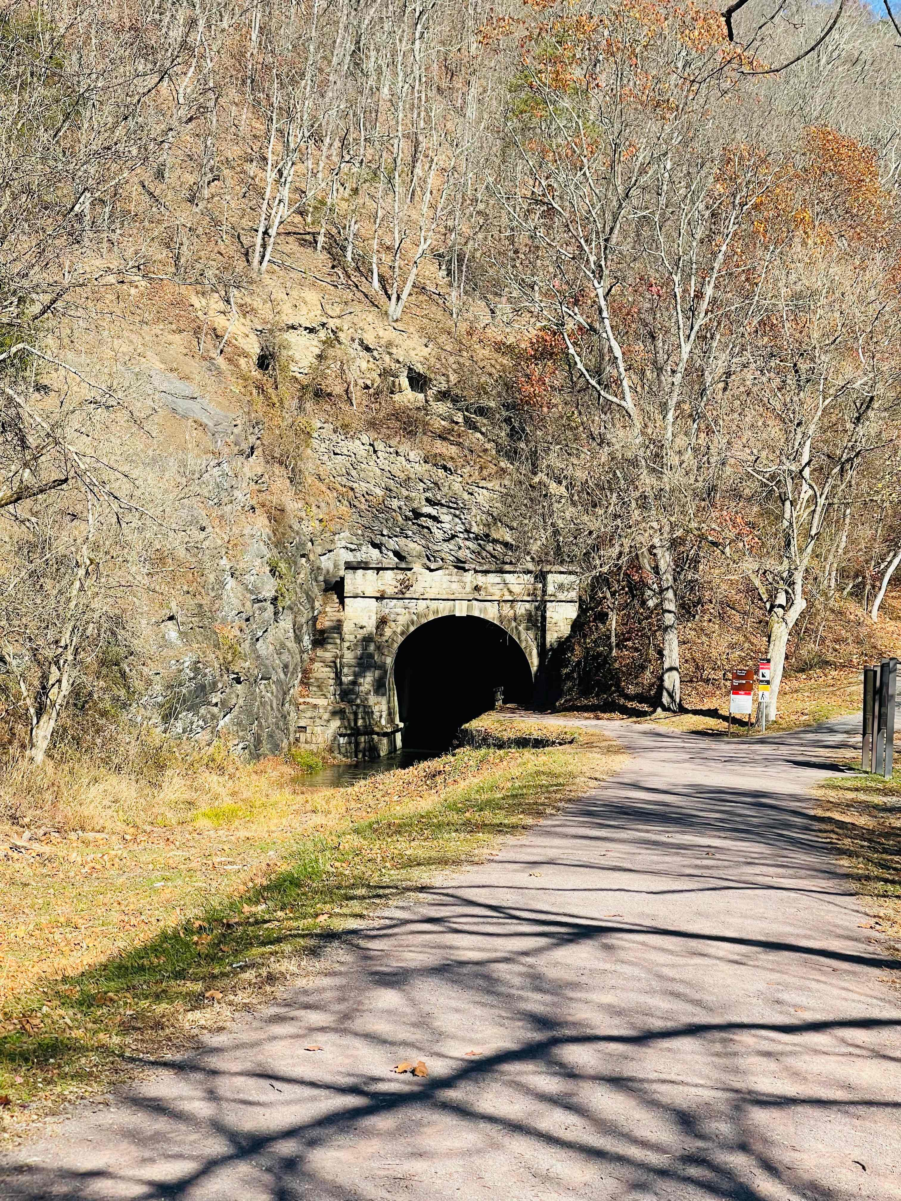 Blase ‘n Love Forest