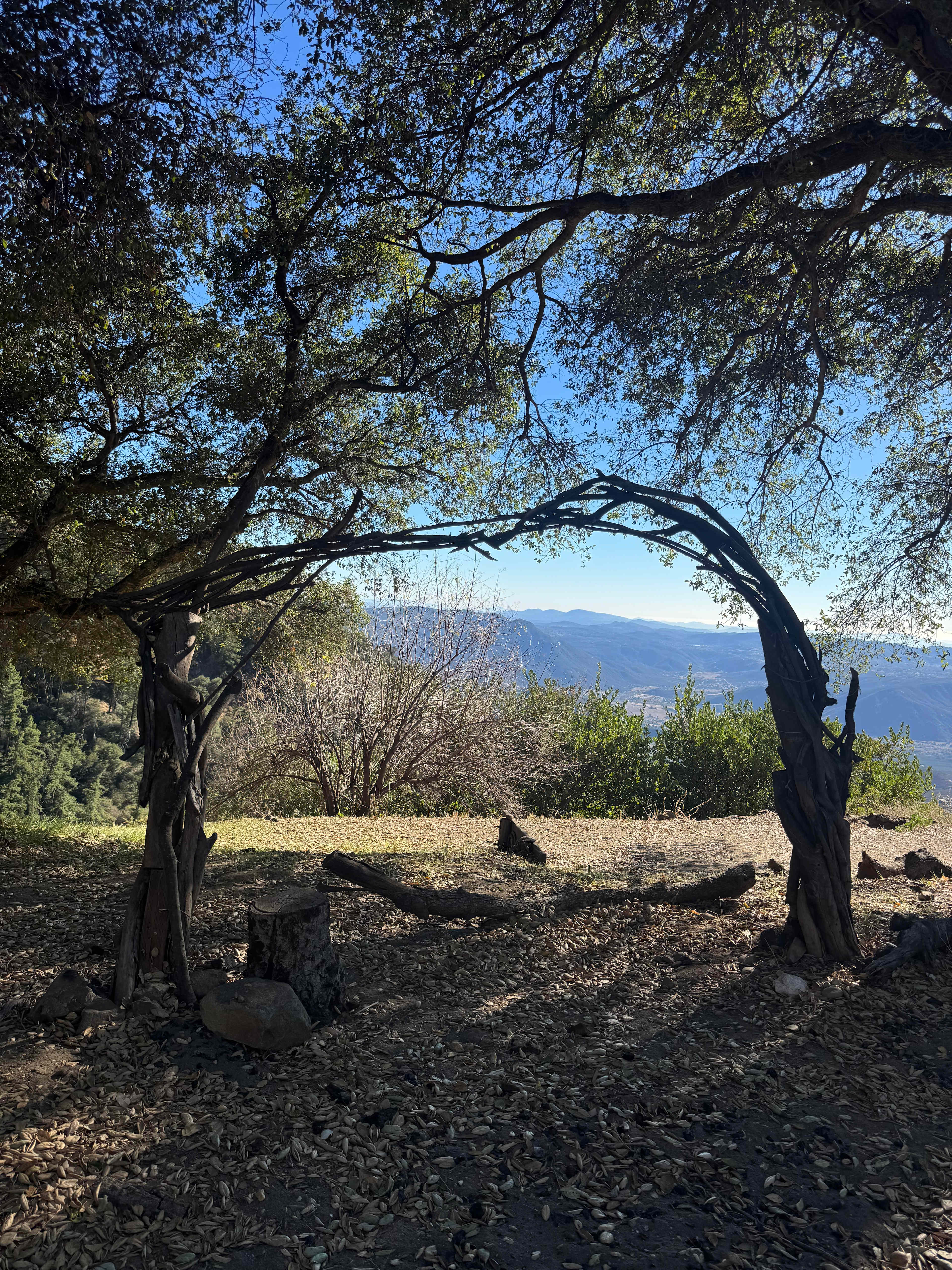 Magical Harrison Serenity Ranch