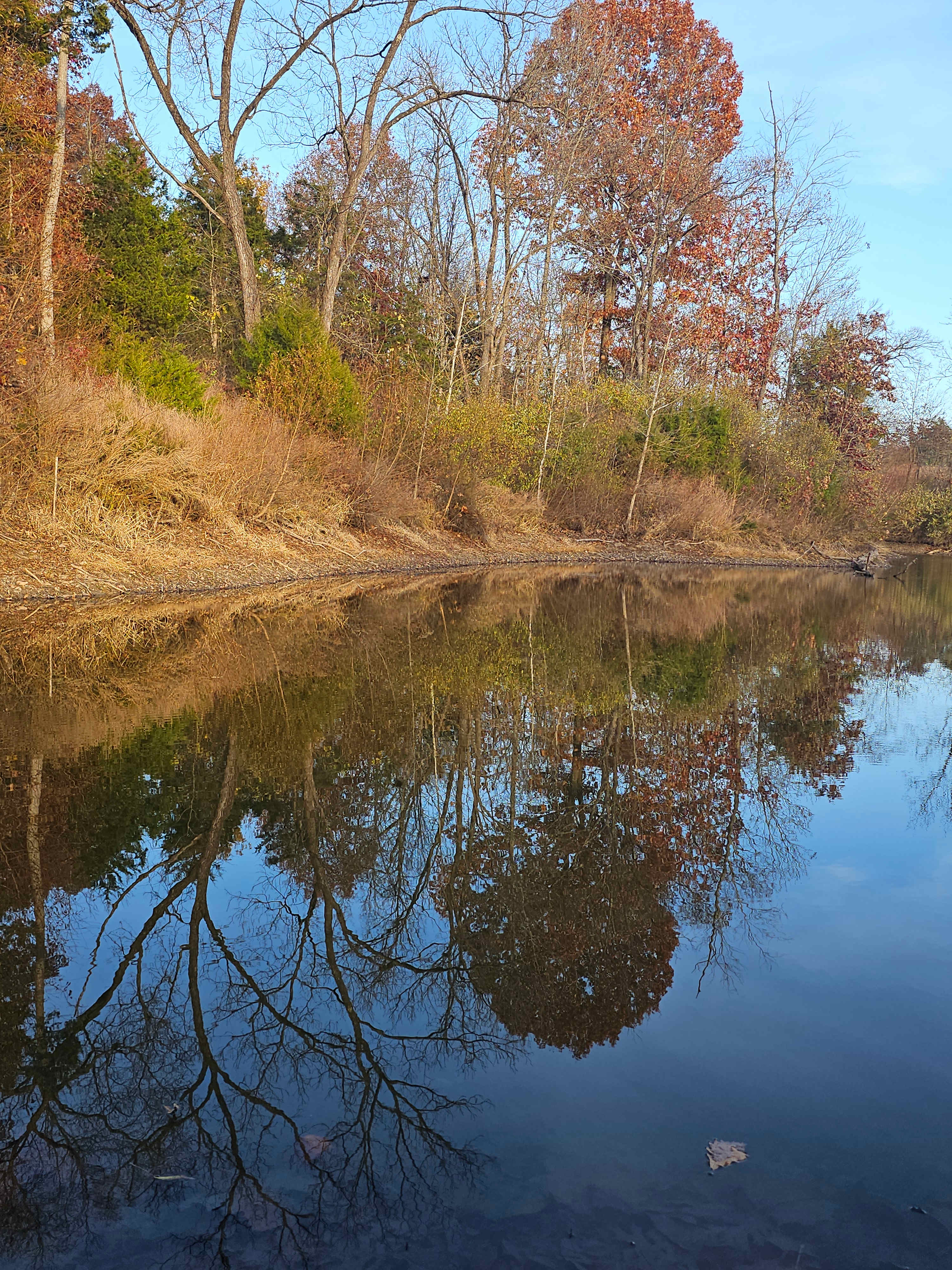 MoonRise Cabin-Farm w/ Trails