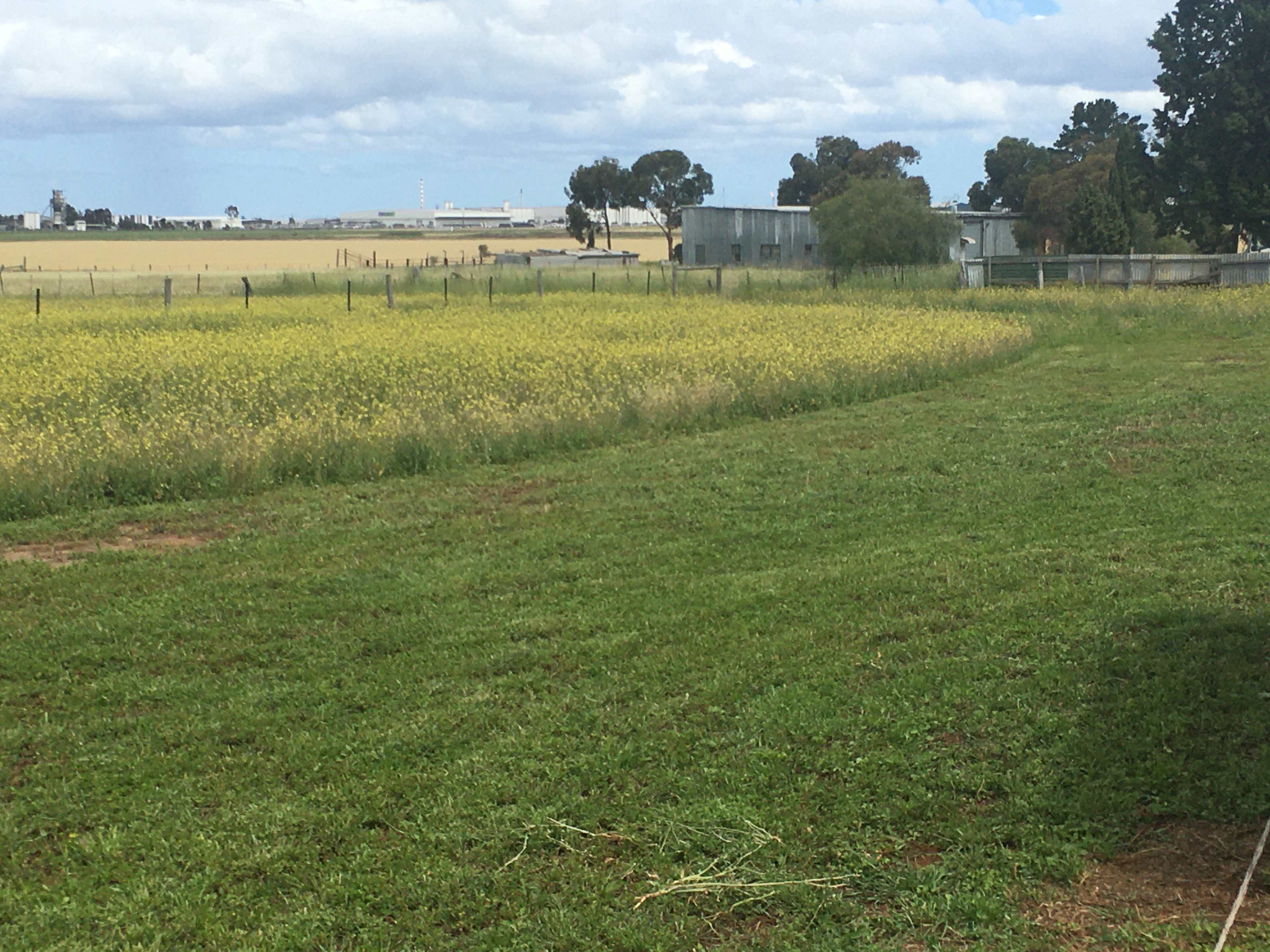 Lara Hobby Horse Centre