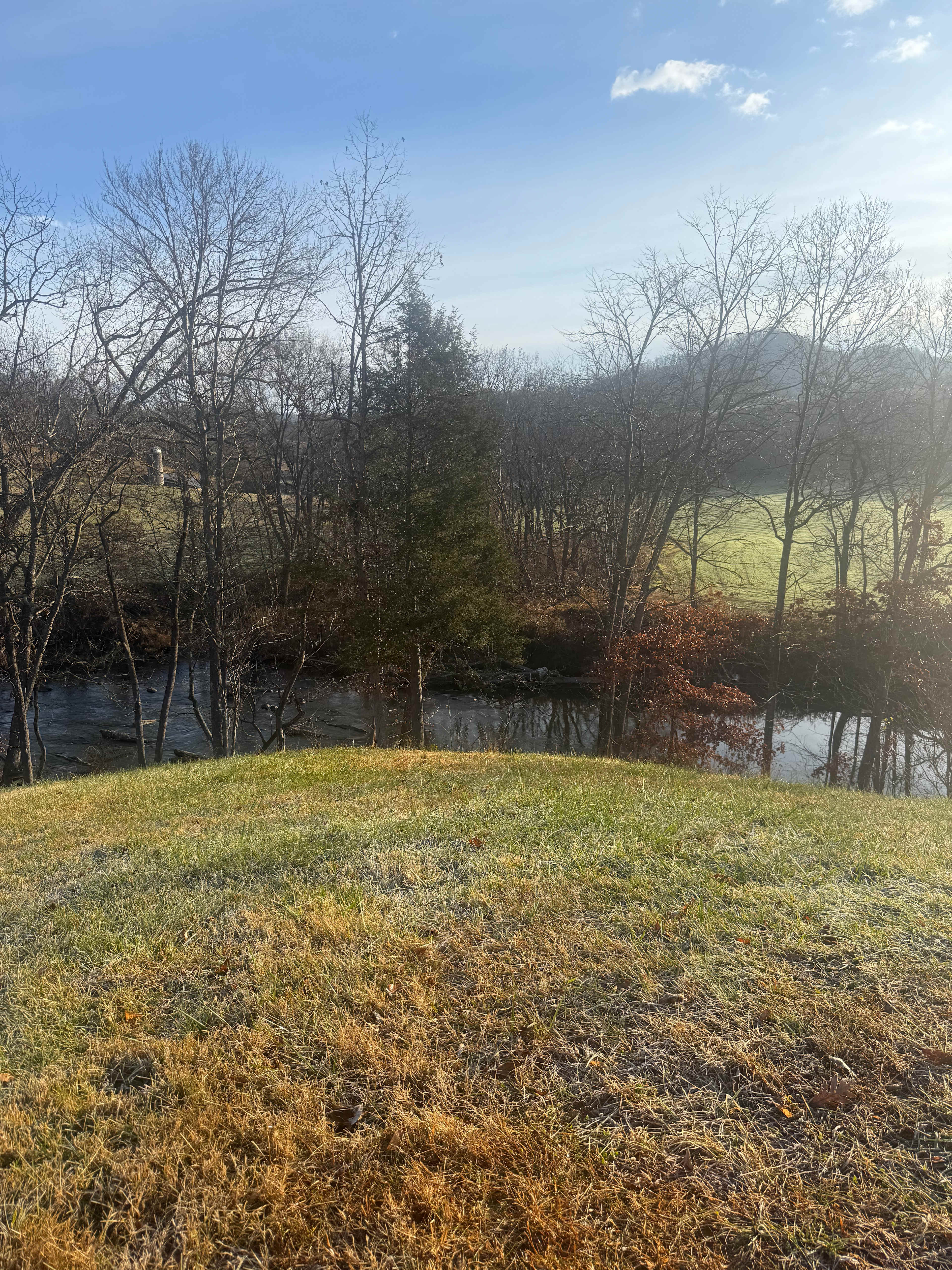 Smoky Mtn Mangalitsa River Ranch