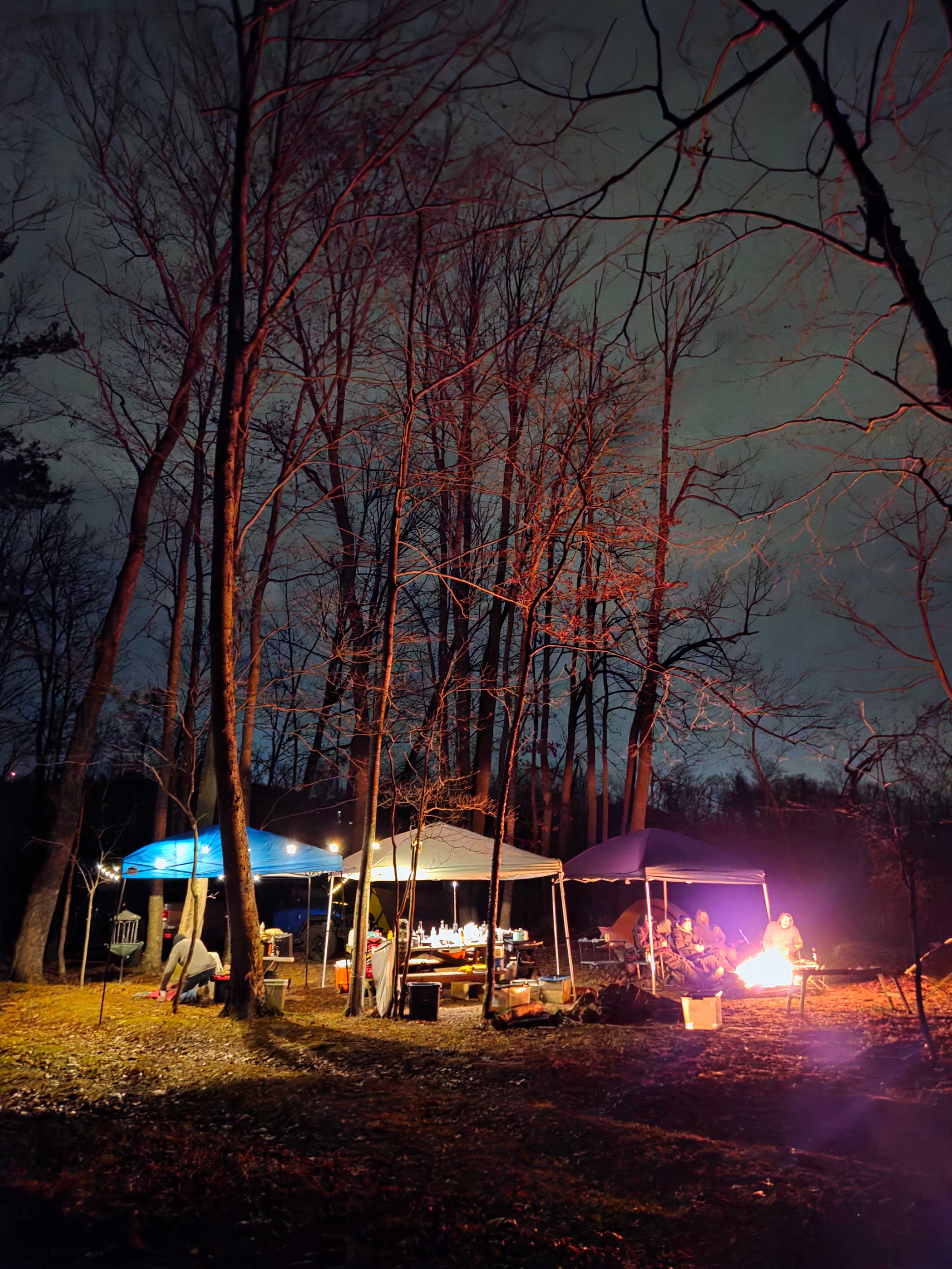 CampsiteDiscGolf @ HighHorizonsFarm