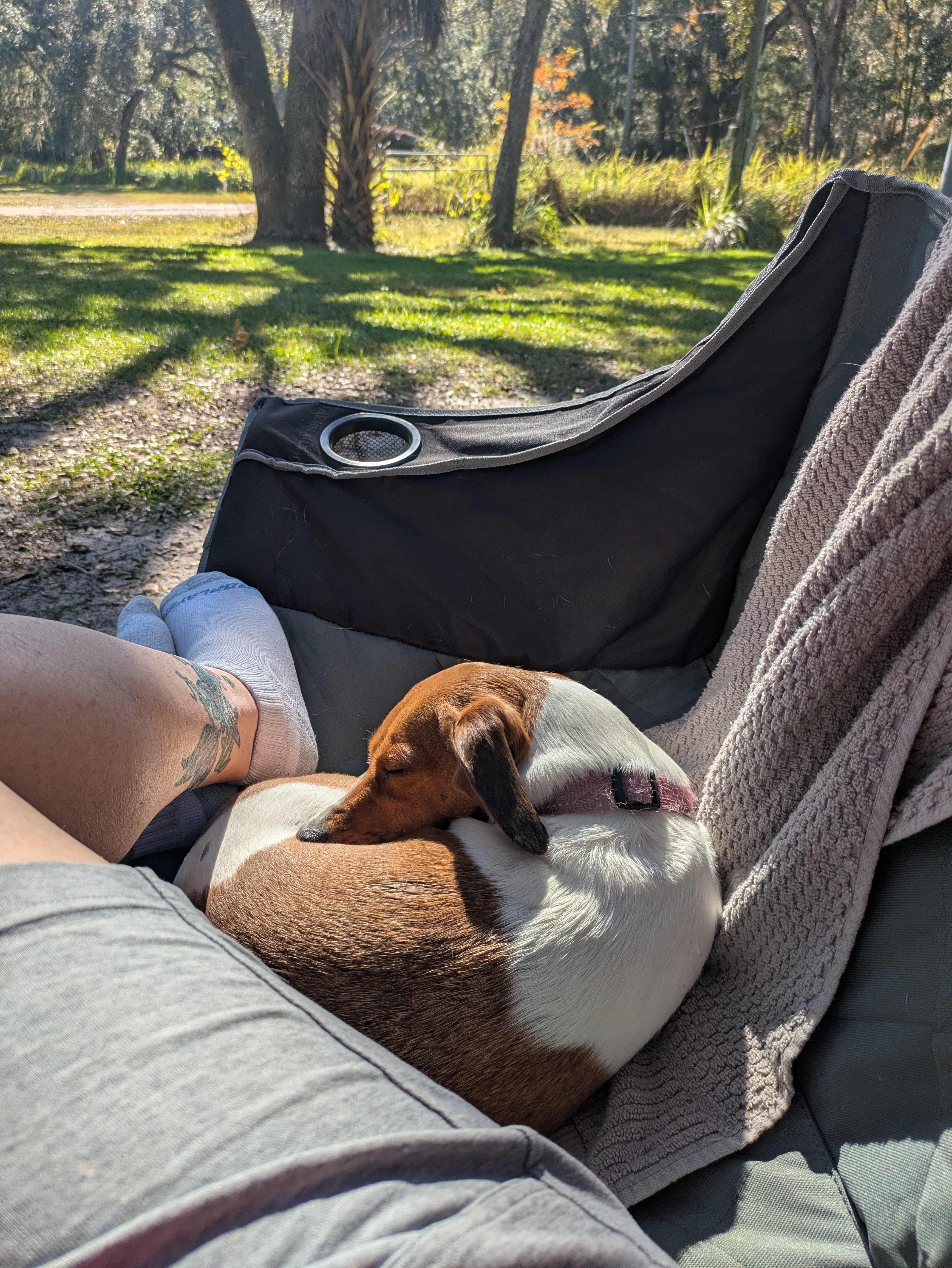 Relaxing in the sun.