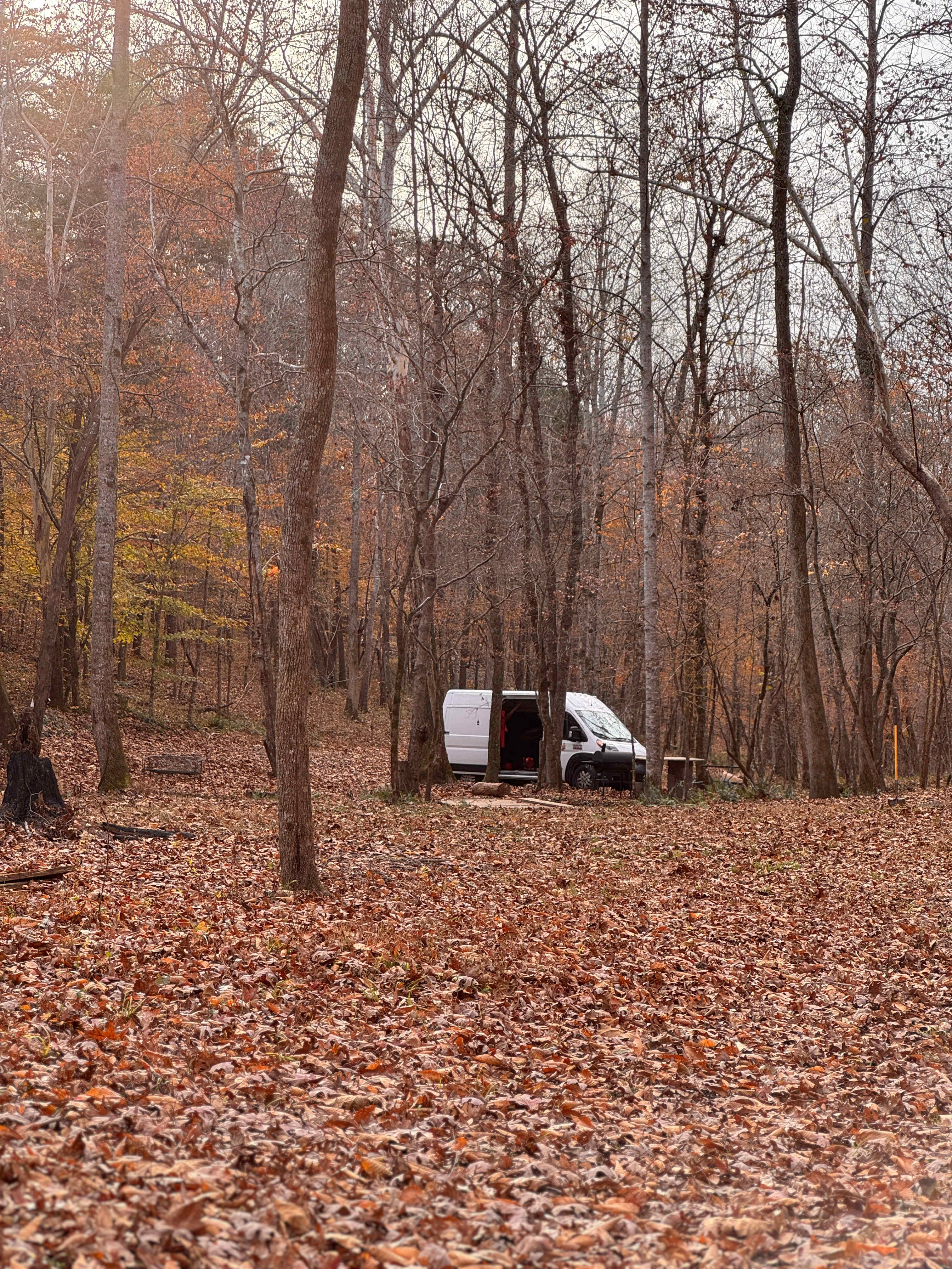 Lionsgate Campground