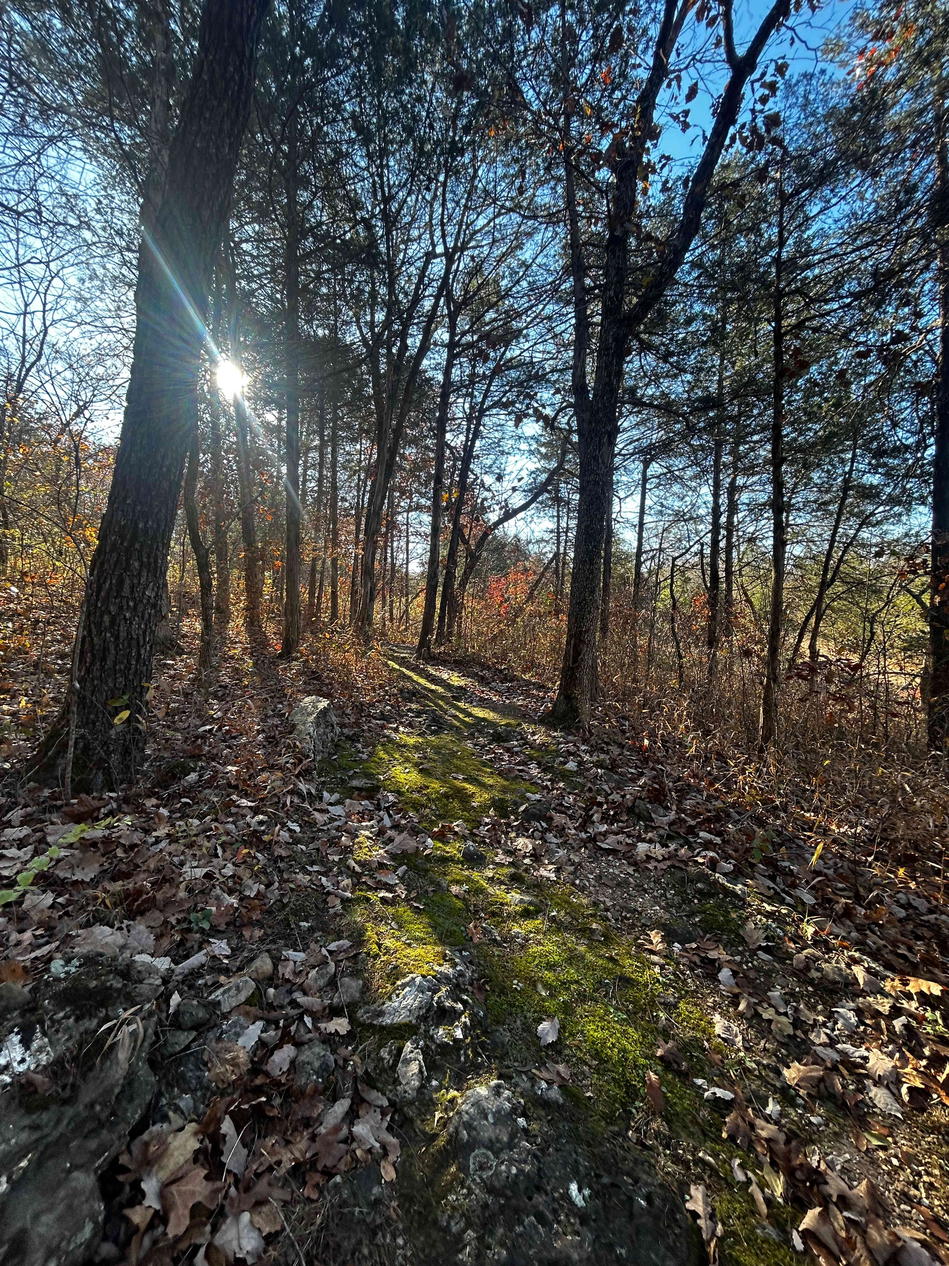Open-air Meditation Sanctuary