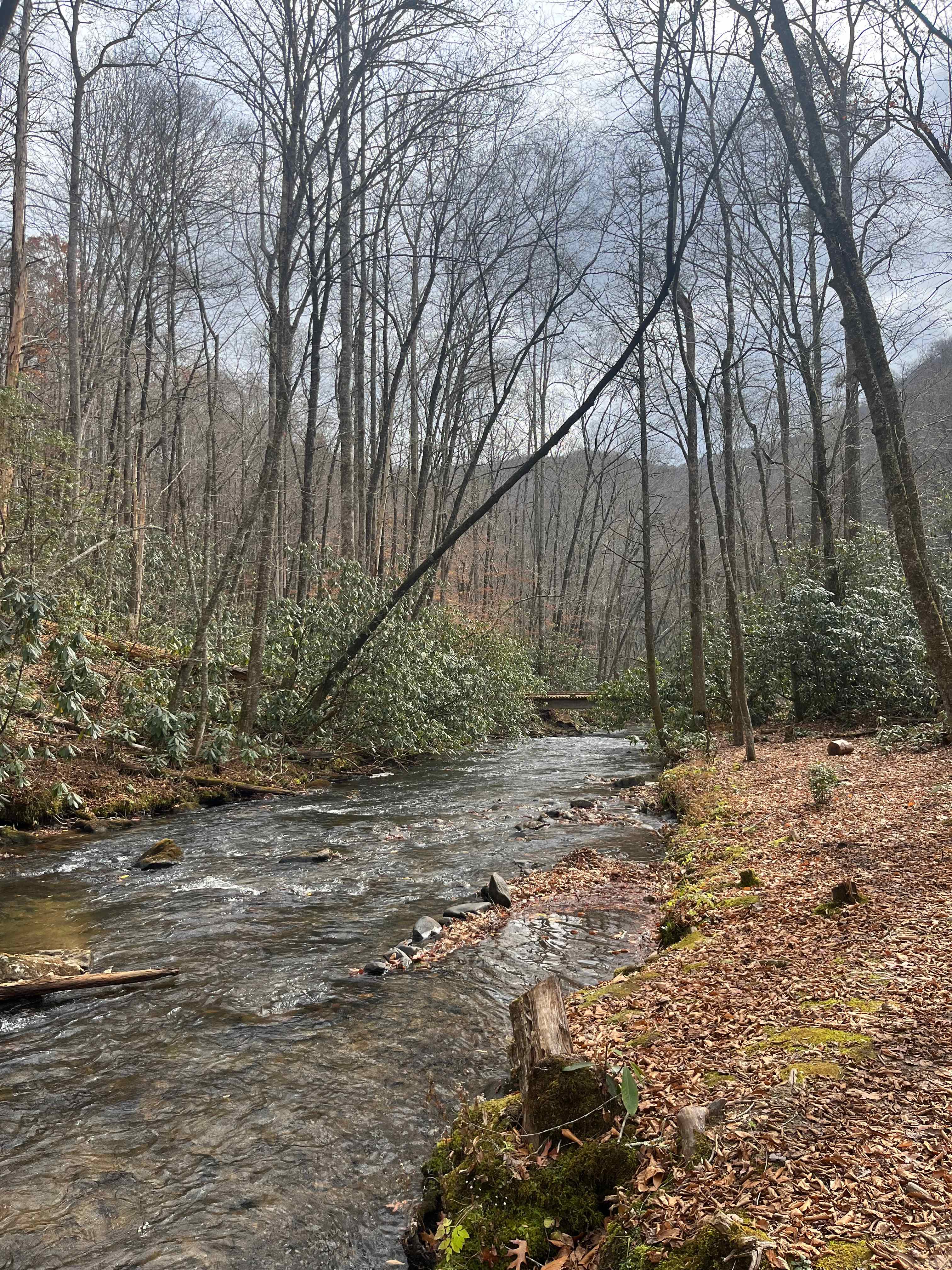 Lil Snowbird Farm Primitive Camping