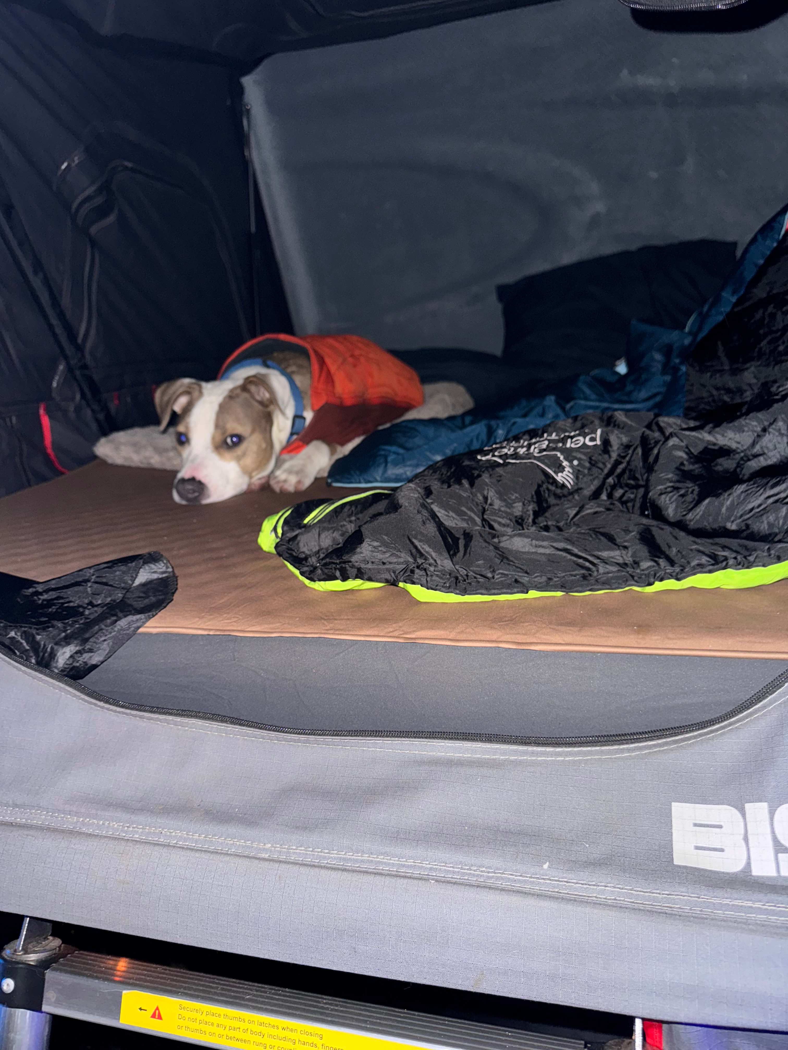 Tecumseh in the root top tent 