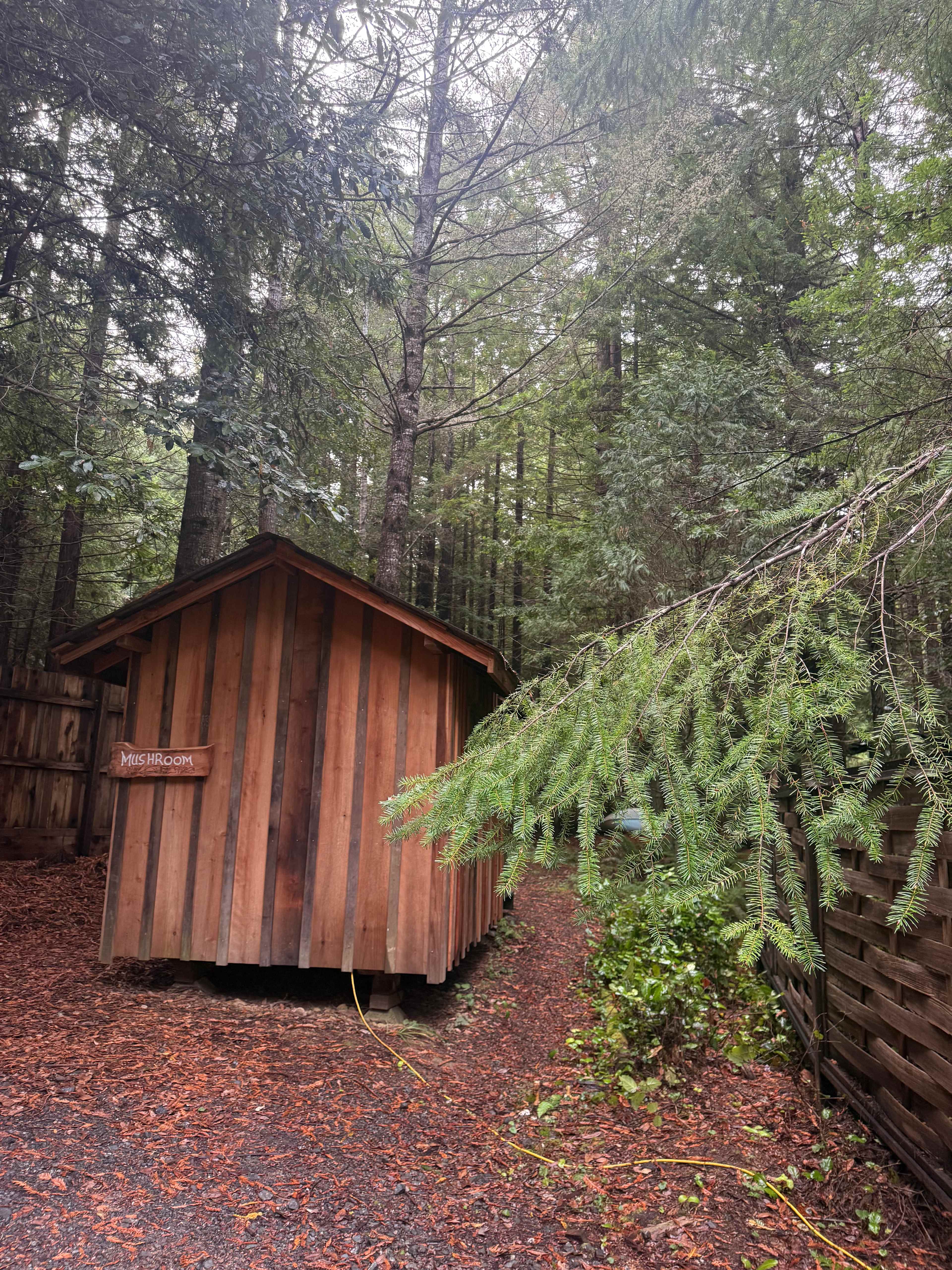 Baby Banana Slug Farm