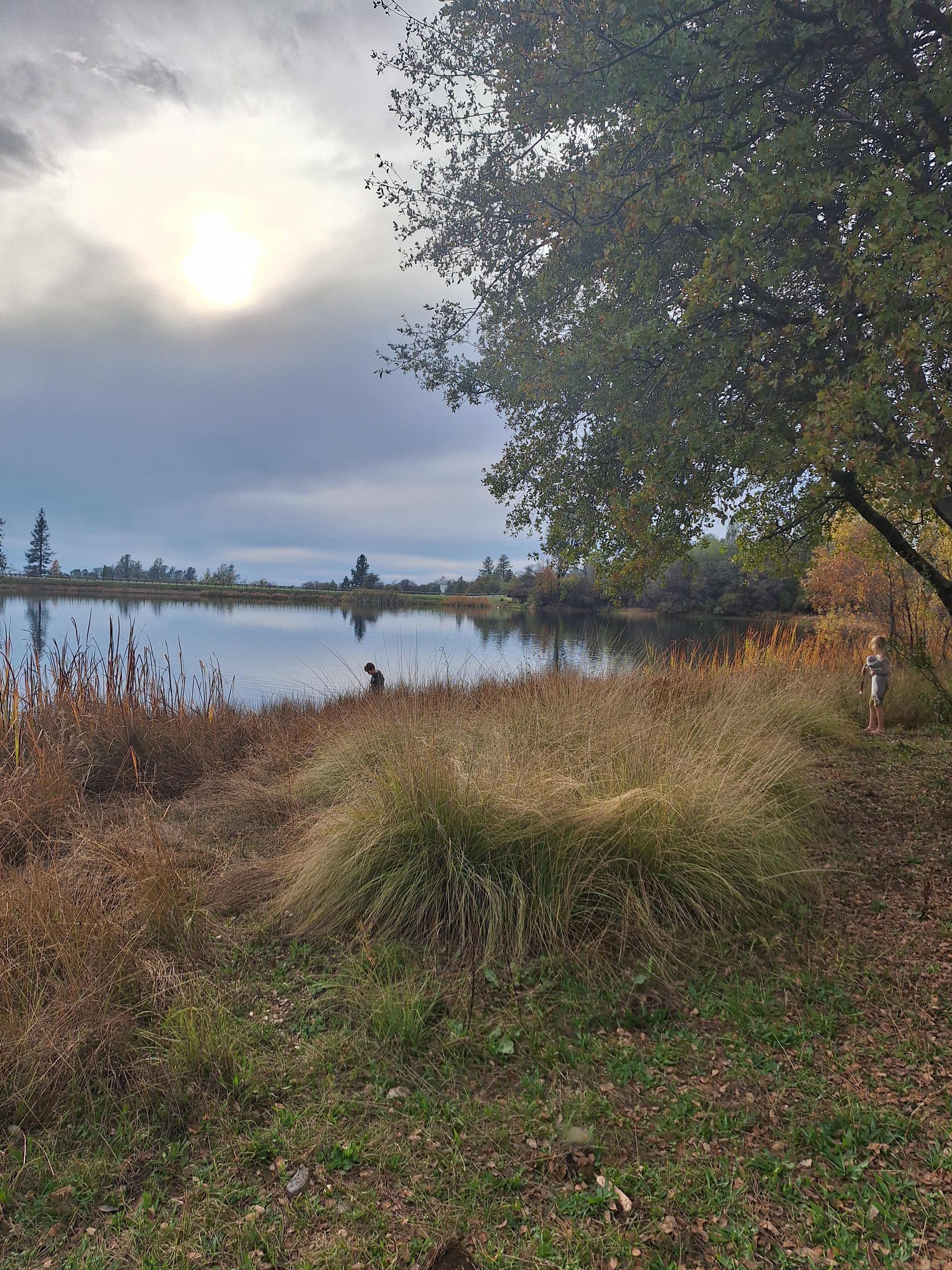 Finnon Lake Recreation Area