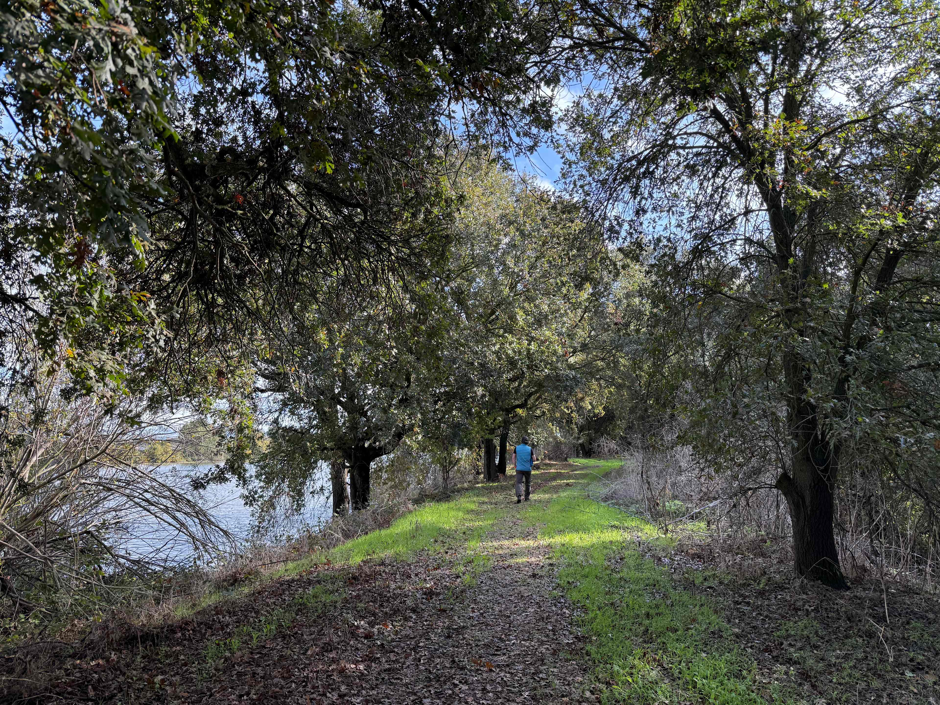 Miles of great hiking/strolling!
